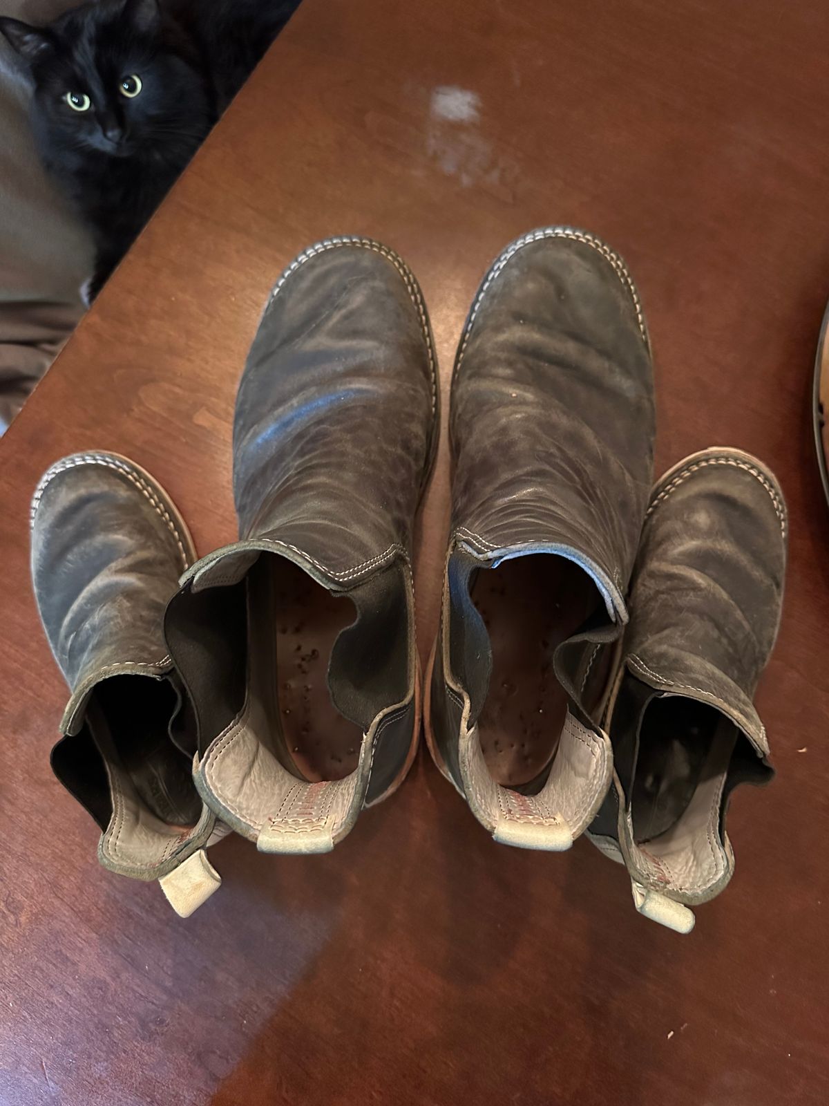 Photo by westcoast1918 on February 6, 2024 of the Wesco Project Axl in Petrolio + Bianco.