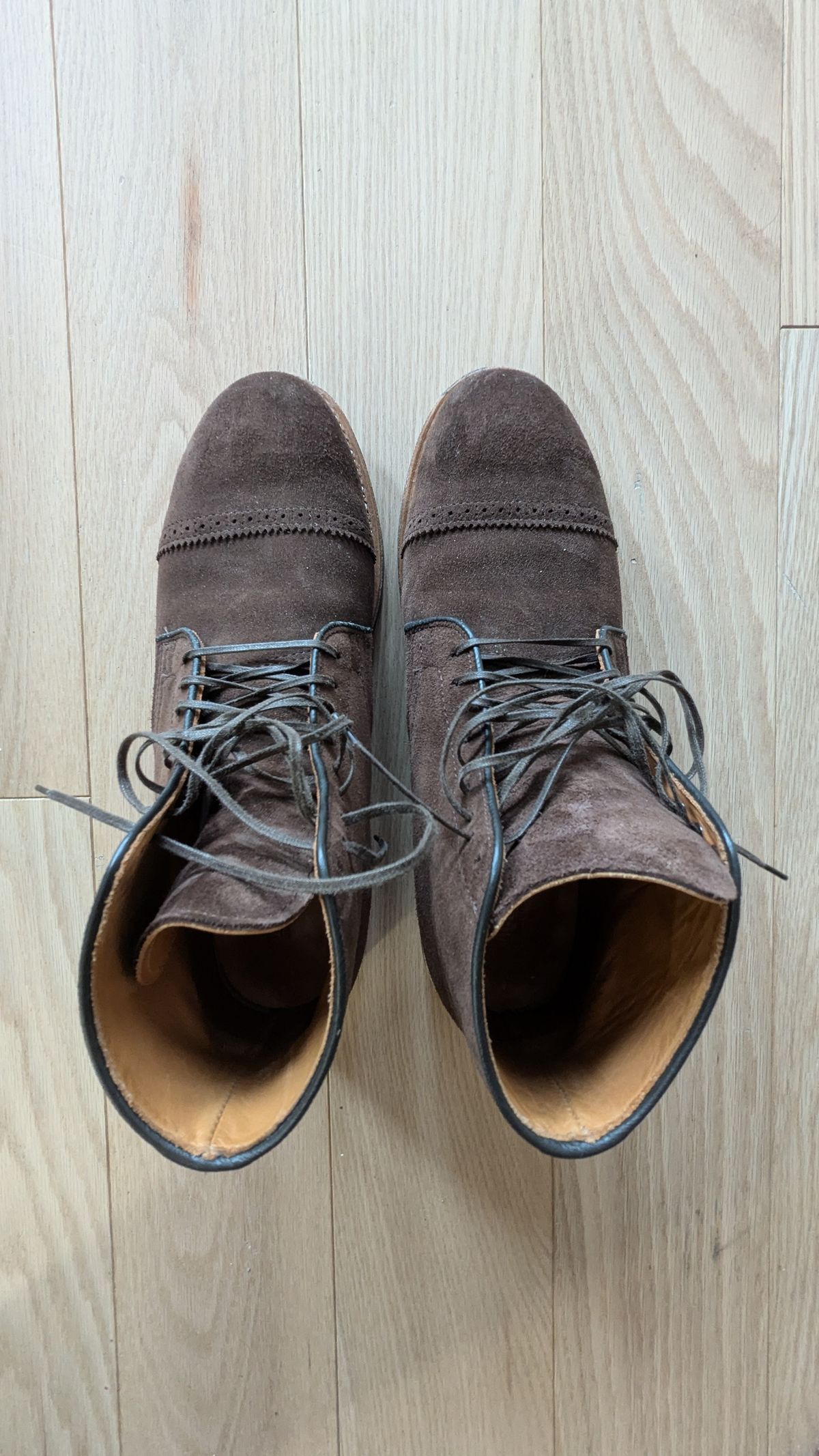 Photo by RoosAndBeavers on March 3, 2026 of the Viberg Derby Boot in C.F. Stead Brown Repello Calf Suede.