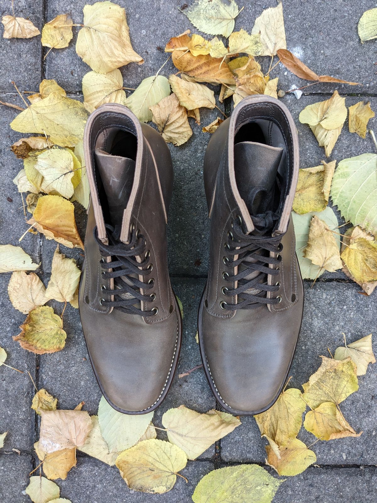 Photo by RoosAndBeavers on October 1, 2023 of the NF Bootmaker Milton Boot in Maryam Asphalt Waxed Horsebutt.