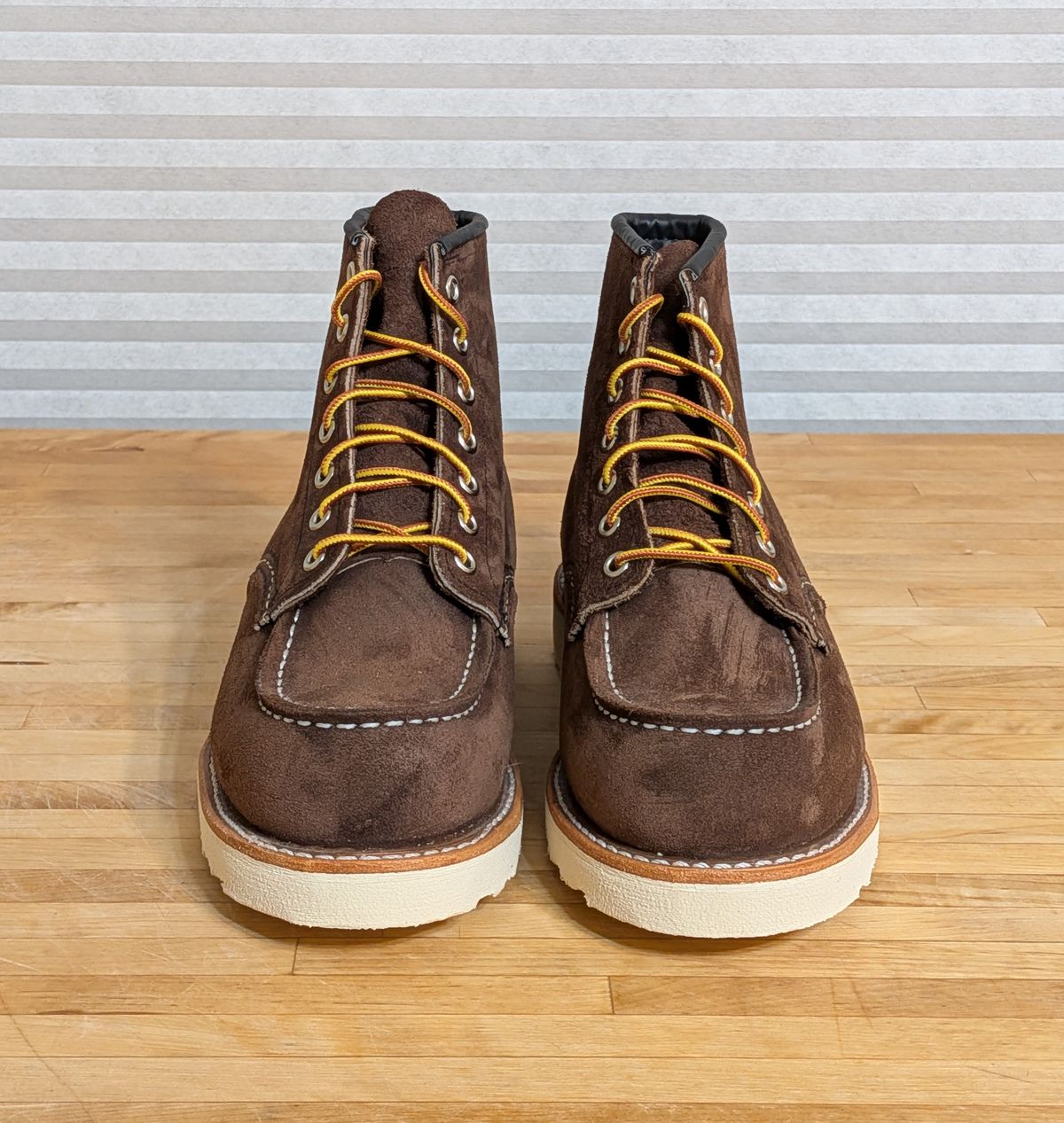 Photo by chilly on October 1, 2025 of the Red Wing 6-Inch Classic Moc in S.B. Foot Chocolate Muleskinner.
