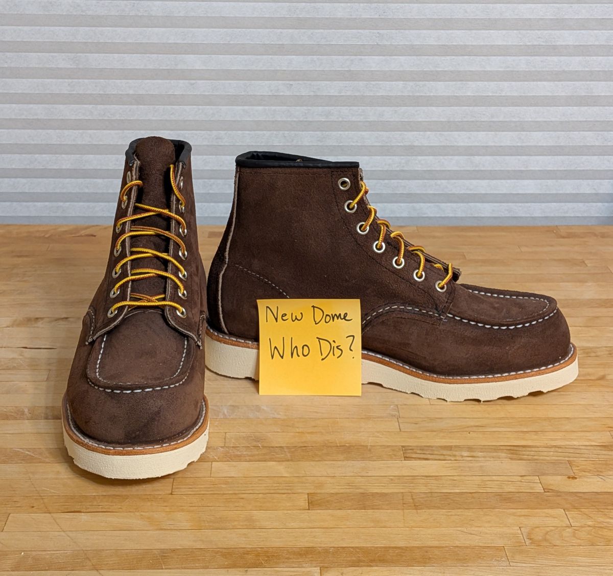 Photo by chilly on October 1, 2025 of the Red Wing 6-Inch Classic Moc in S.B. Foot Chocolate Muleskinner.