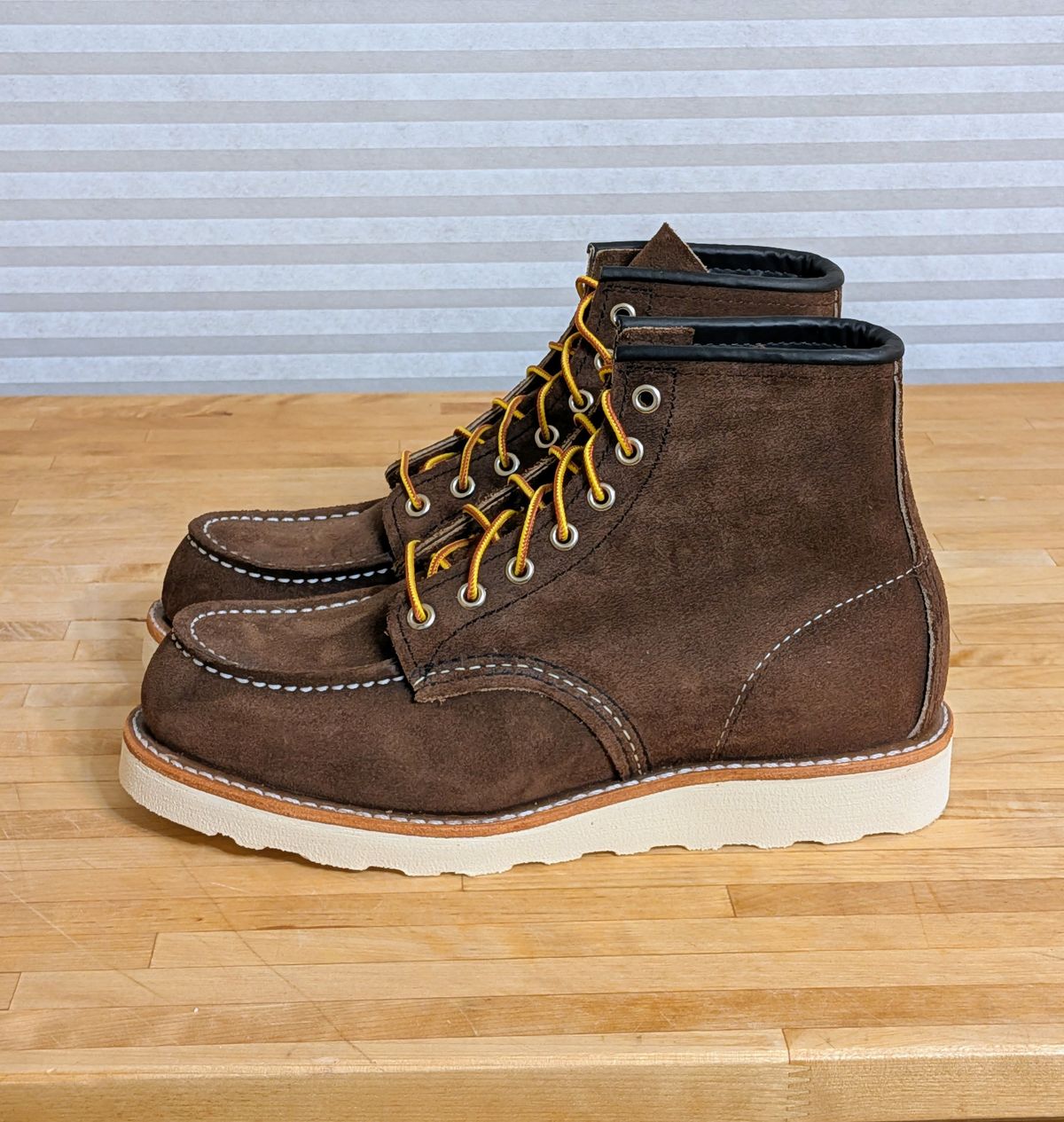 Photo by chilly on October 1, 2025 of the Red Wing 6-Inch Classic Moc in S.B. Foot Chocolate Muleskinner.