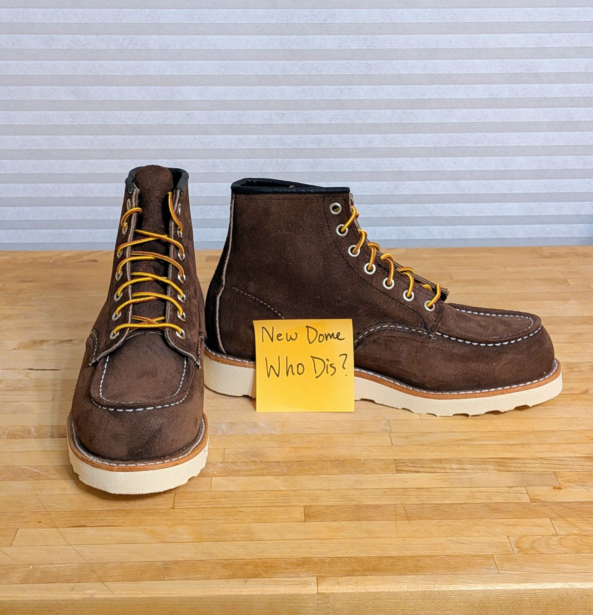 Photo by chilly on October 1, 2025 of the Red Wing 6-Inch Classic Moc in S.B. Foot Chocolate Muleskinner.