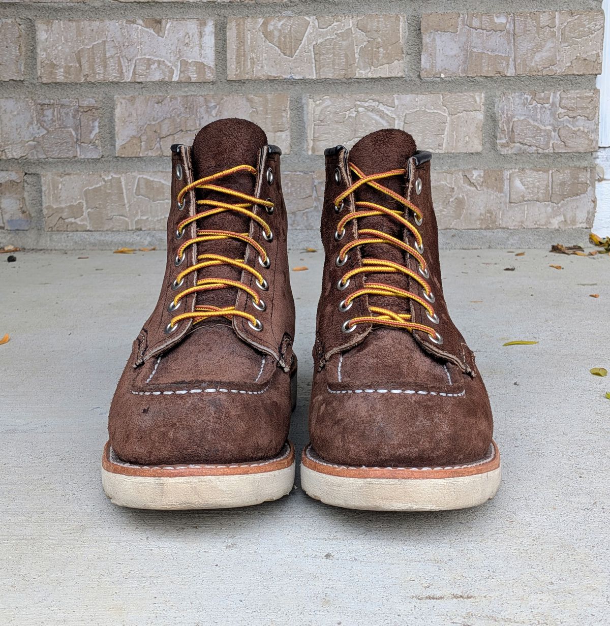 Photo by chilly on November 2, 2025 of the Red Wing 6-Inch Classic Moc in S.B. Foot Chocolate Muleskinner.
