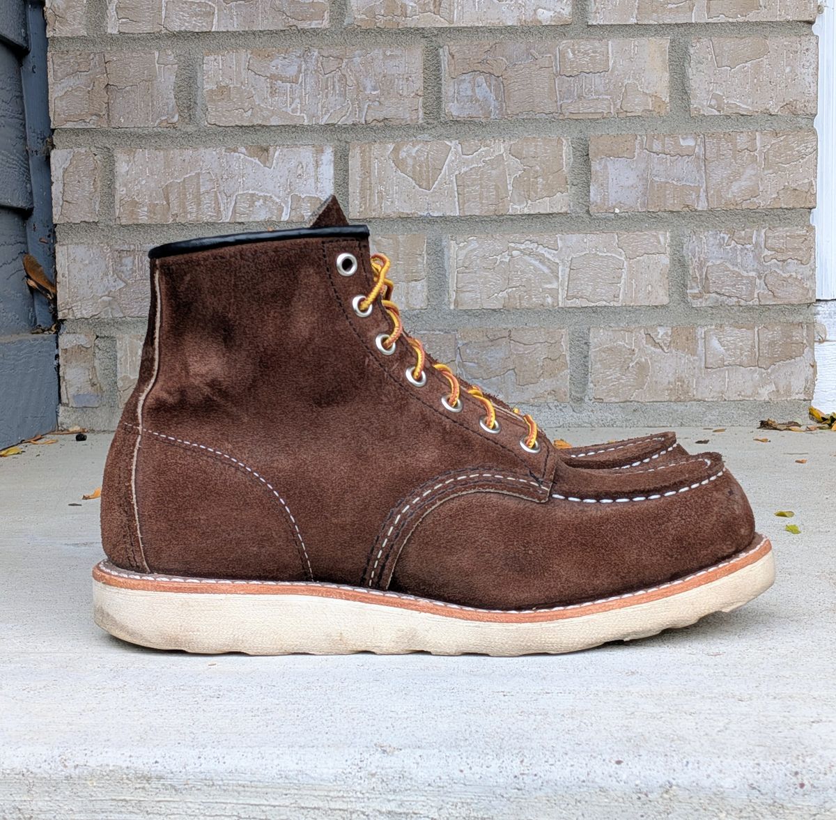 Photo by chilly on November 2, 2025 of the Red Wing 6-Inch Classic Moc in S.B. Foot Chocolate Muleskinner.