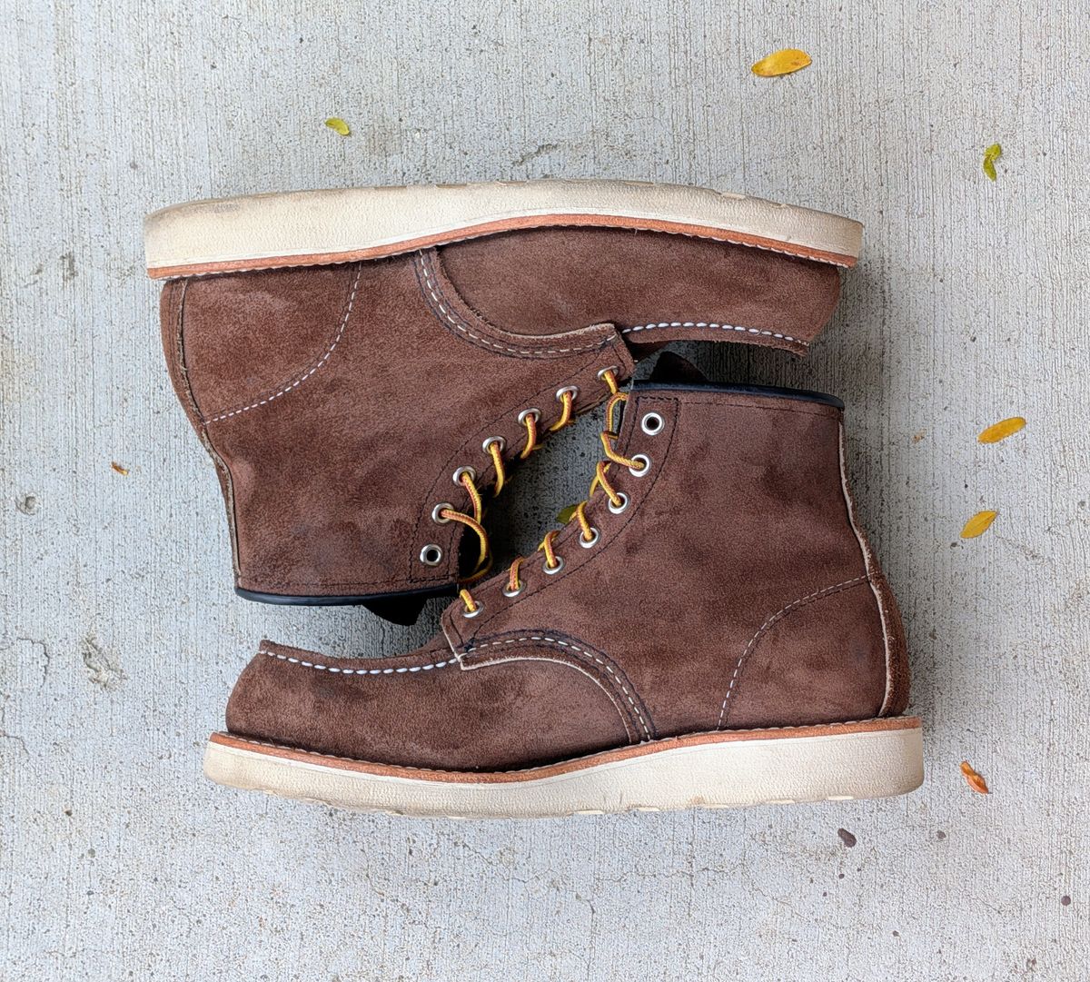 Photo by chilly on November 2, 2025 of the Red Wing 6-Inch Classic Moc in S.B. Foot Chocolate Muleskinner.