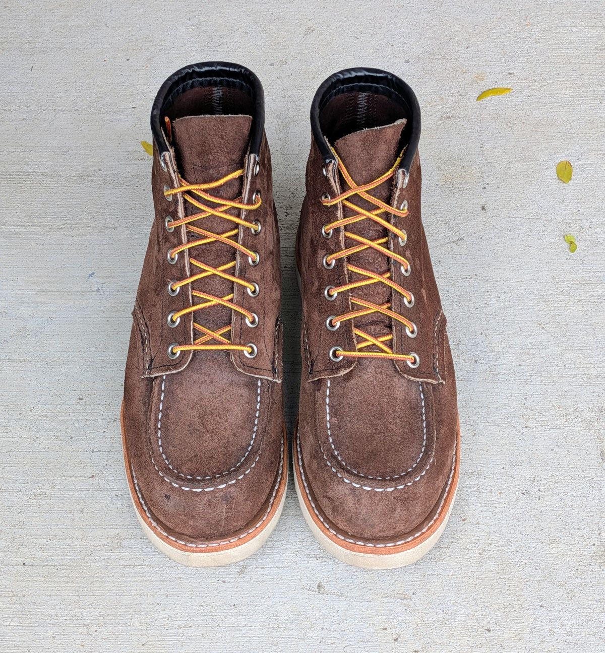 Photo by chilly on November 2, 2025 of the Red Wing 6-Inch Classic Moc in S.B. Foot Chocolate Muleskinner.