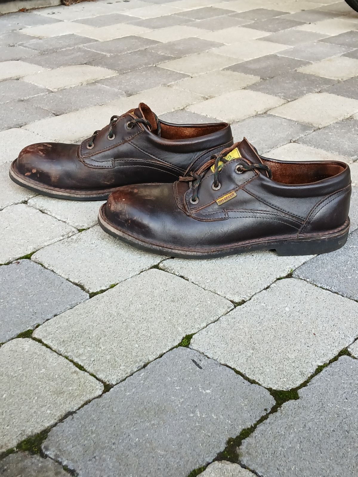 Photo by fjaagewaage on November 16, 2025 of the Jim Green Bantam Shoe in Brown Full Grain.