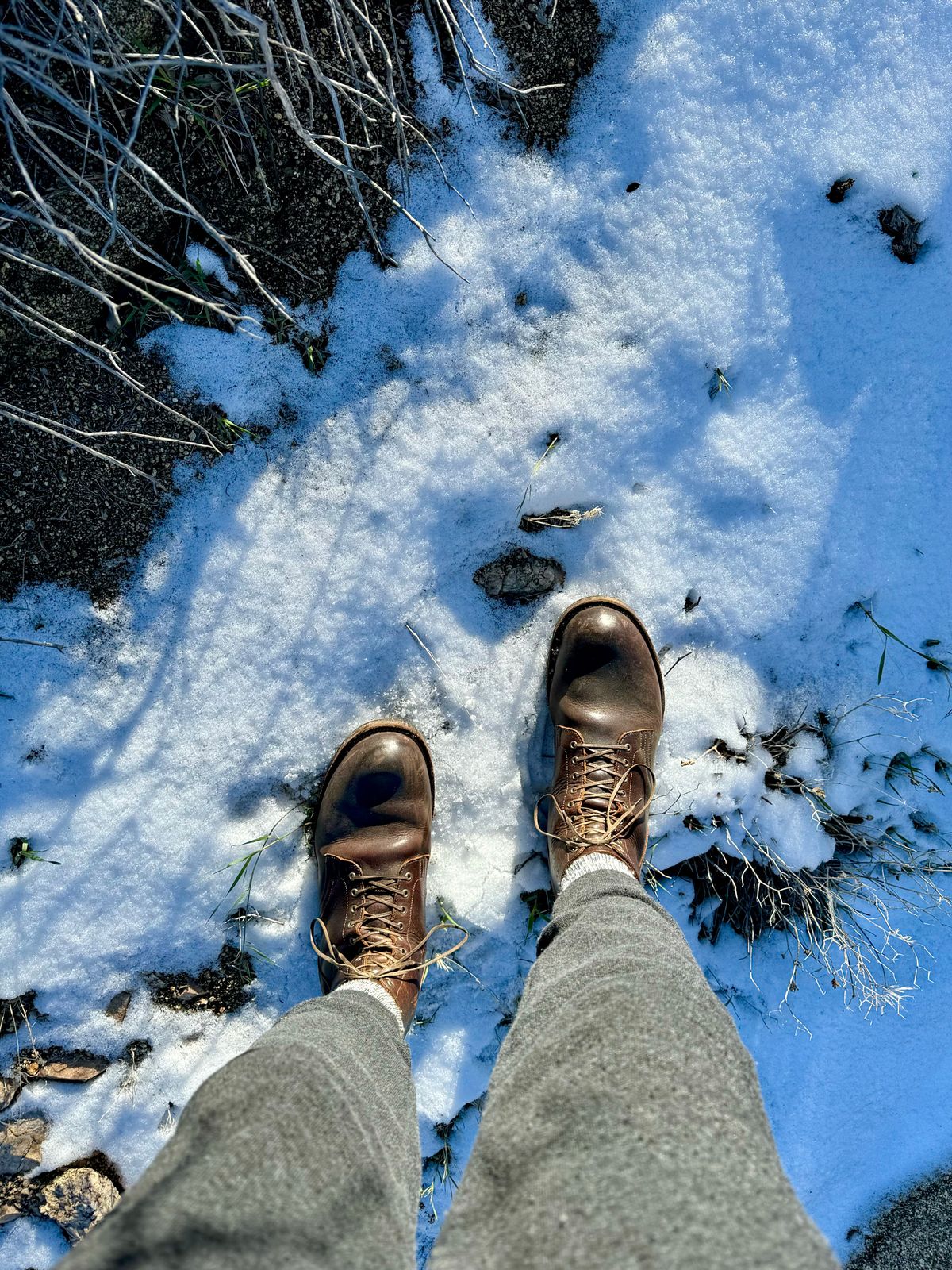 Photo by Drover_Shy on February 10, 2024 of the Viberg Service Boot in C.F. Stead Whiskey Phoenix.