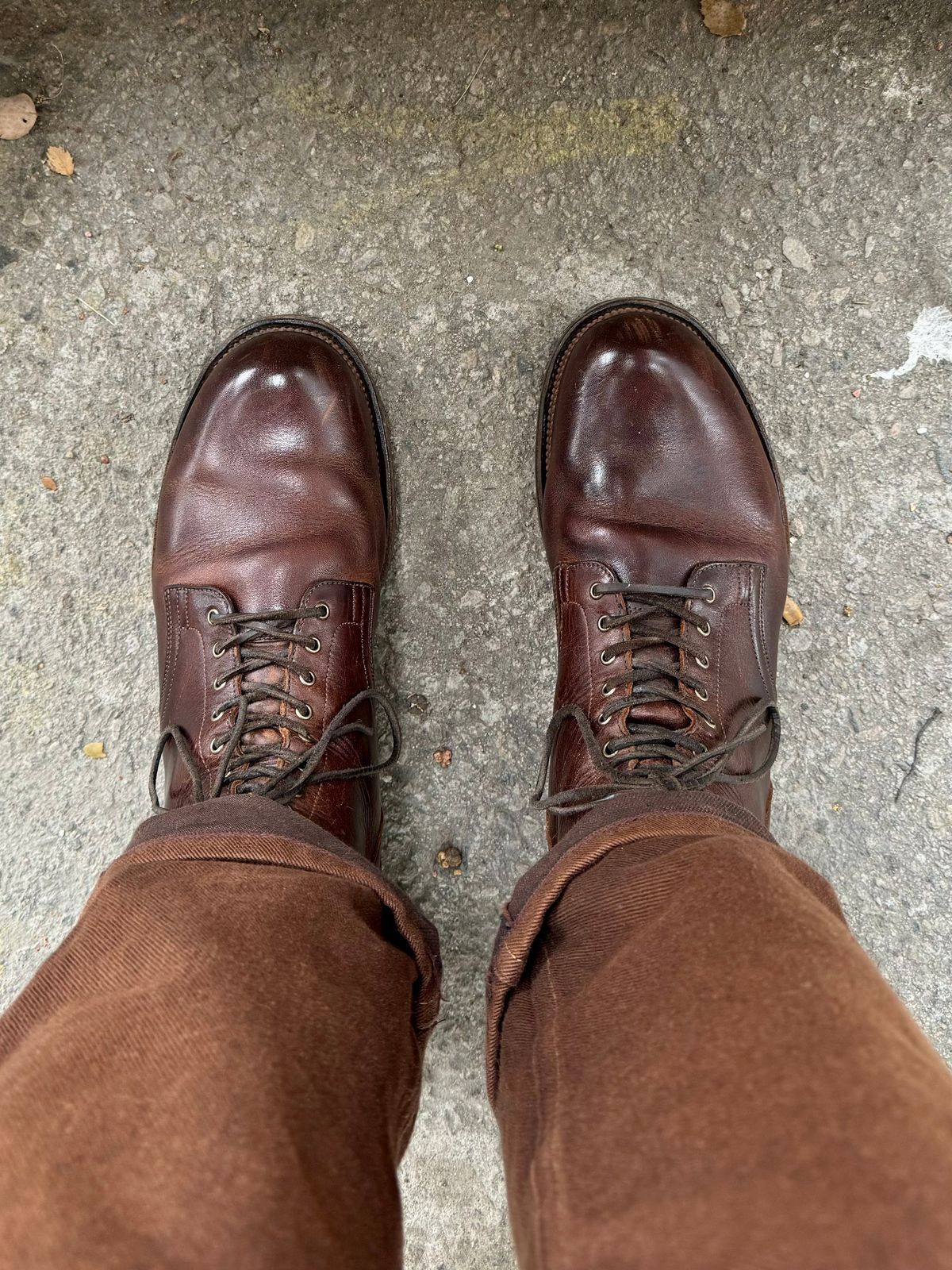 Photo by Drover_Shy on October 16, 2024 of the Viberg Service Boot in C.F. Stead Whiskey Phoenix.