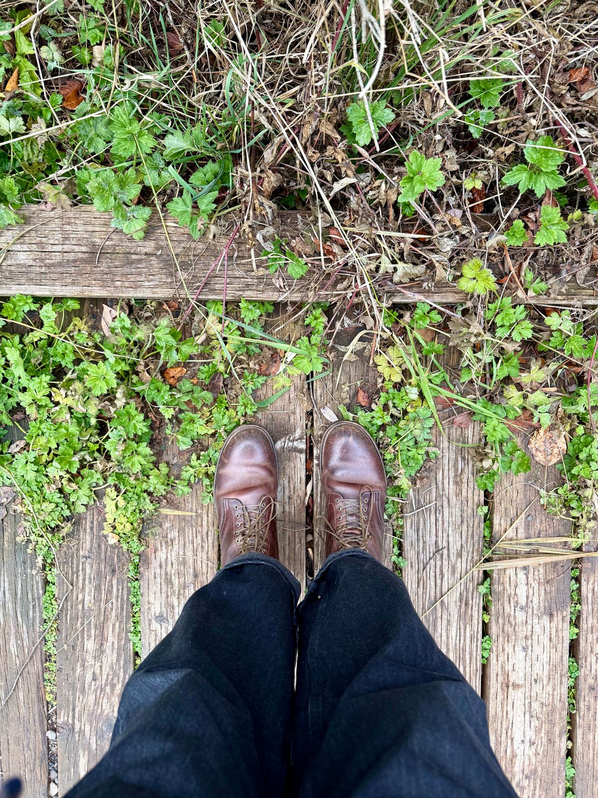 Photo by Drover_Shy on November 14, 2025 of the Viberg Service Boot in C.F. Stead Whiskey Phoenix.