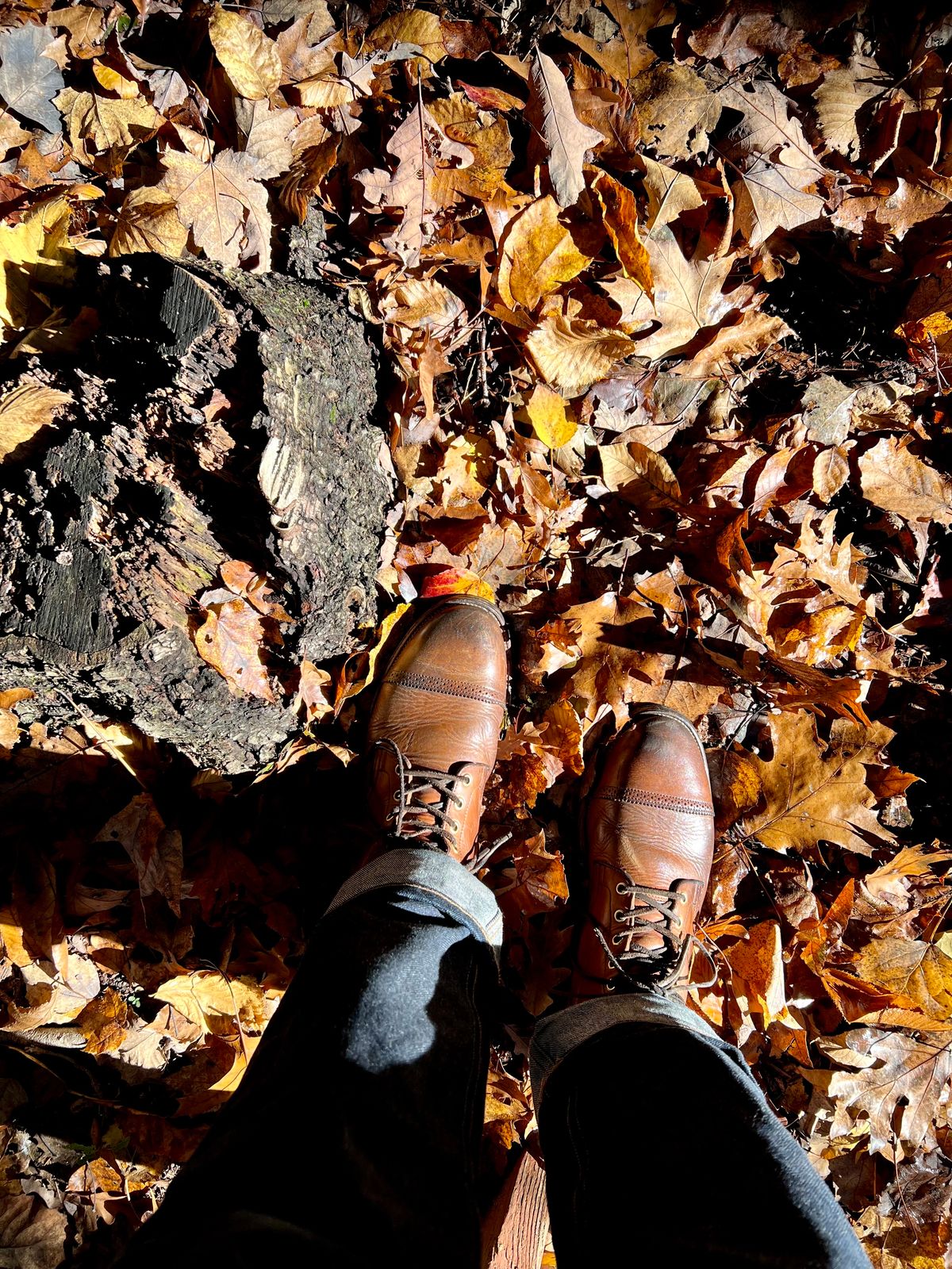 Photo by Drover_Shy on October 31, 2023 of the Viberg Service Boot in Horween Coconut Dublin.