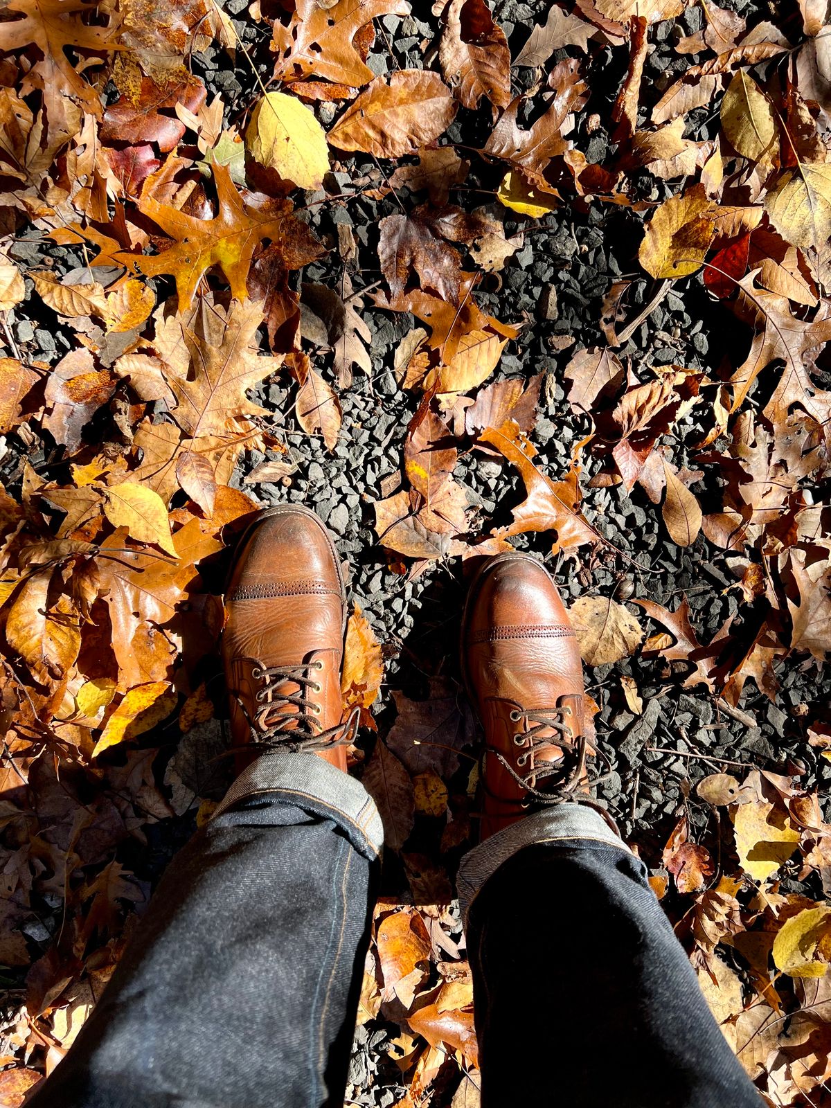 Photo by Drover_Shy on October 31, 2023 of the Viberg Service Boot in Horween Coconut Dublin.