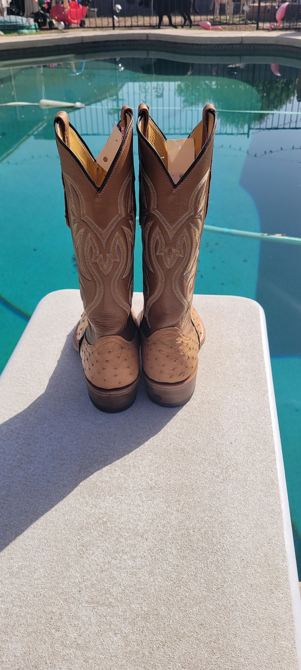 Photo by tekufu on October 1, 2023 of the Cowtown Boots J Toe in Cognac Ostrich .