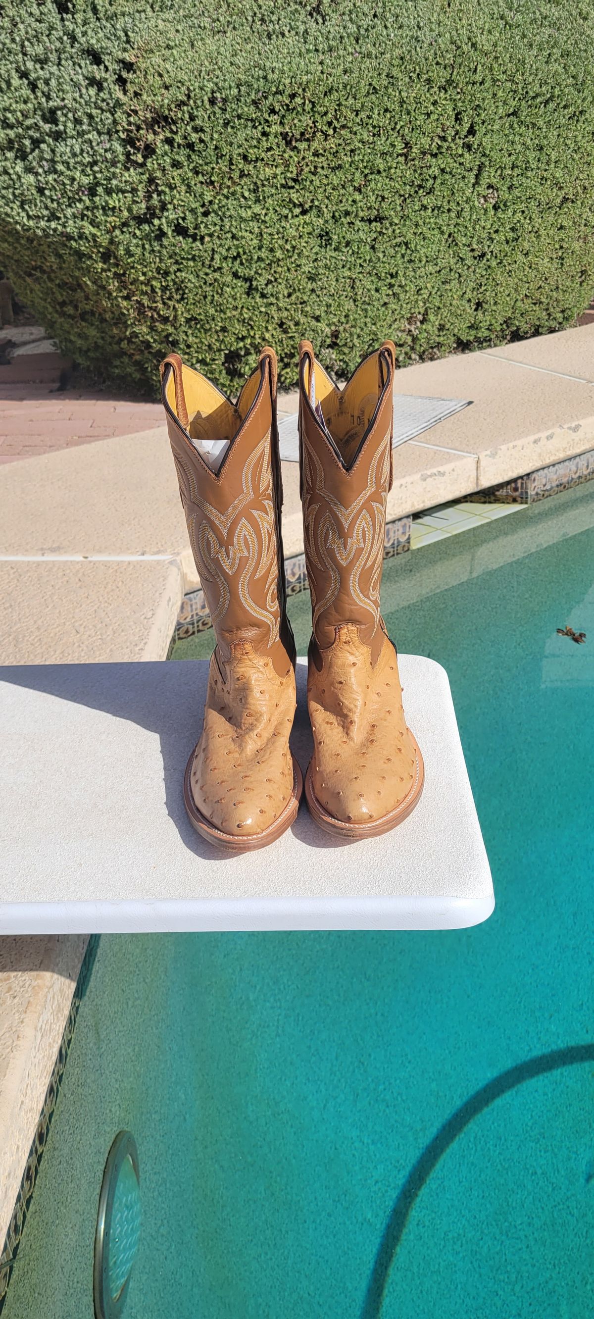 Photo by tekufu on October 1, 2023 of the Cowtown Boots J Toe in Cognac Ostrich .