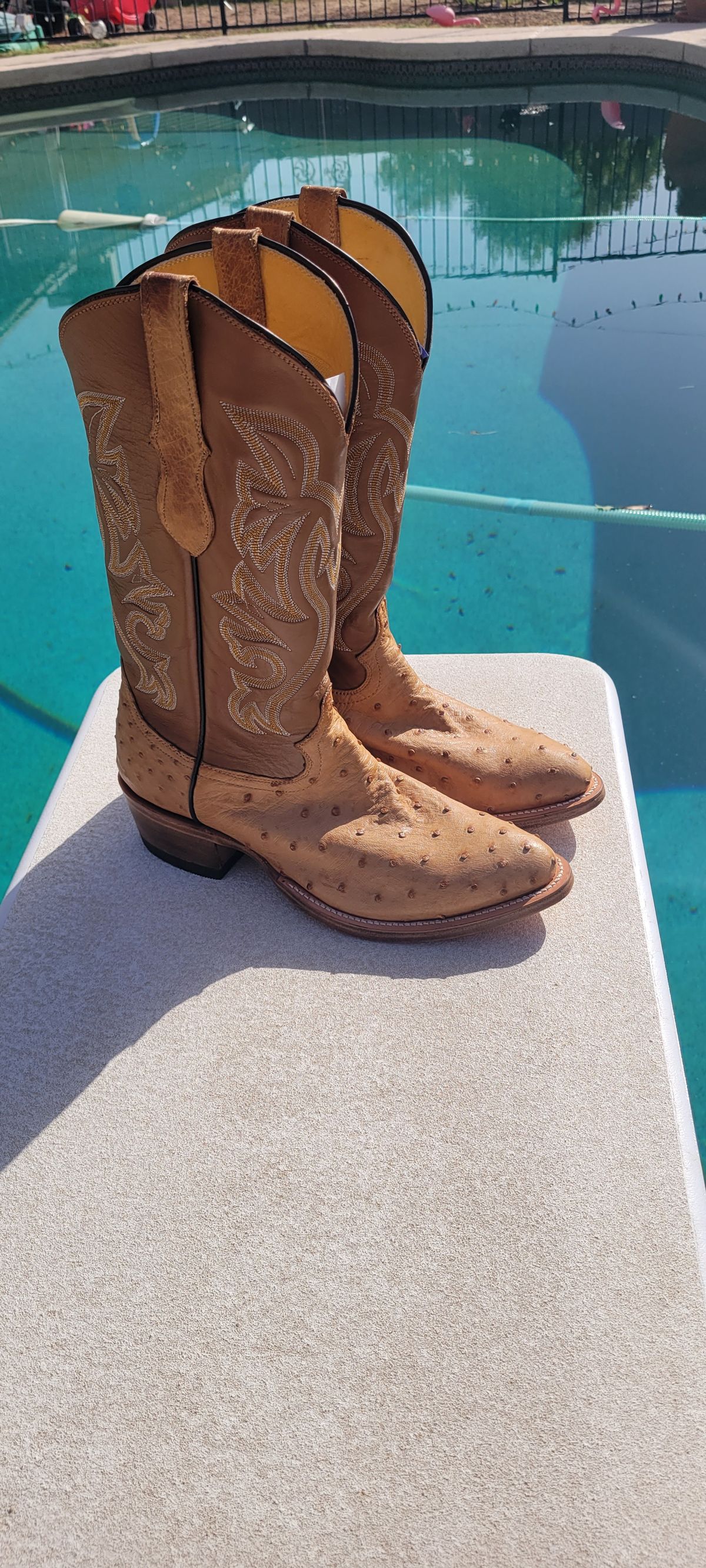 Photo by tekufu on October 1, 2023 of the Cowtown Boots J Toe in Cognac Ostrich .