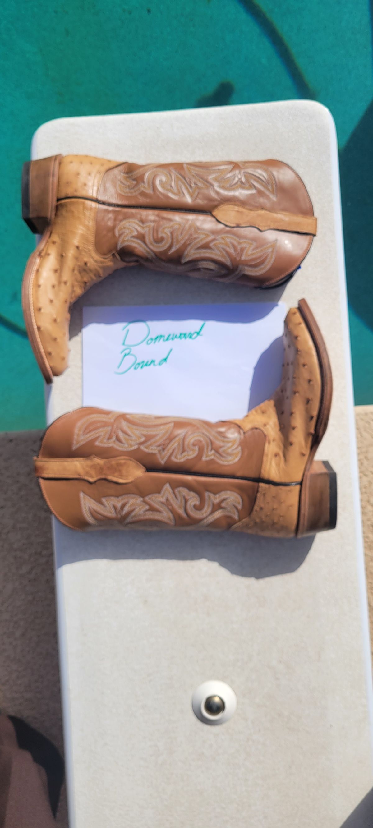 Photo by tekufu on October 1, 2023 of the Cowtown Boots J Toe in Cognac Ostrich .