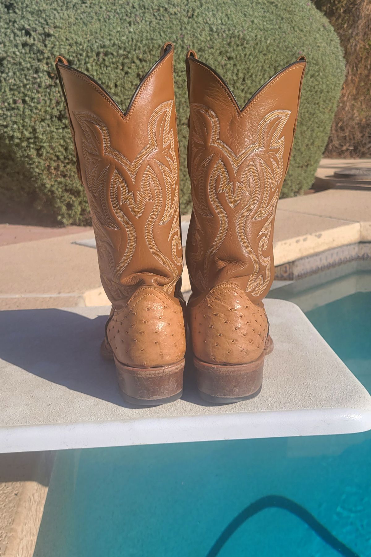 Photo by tekufu on November 1, 2023 of the Cowtown Boots J Toe in Cognac Ostrich .
