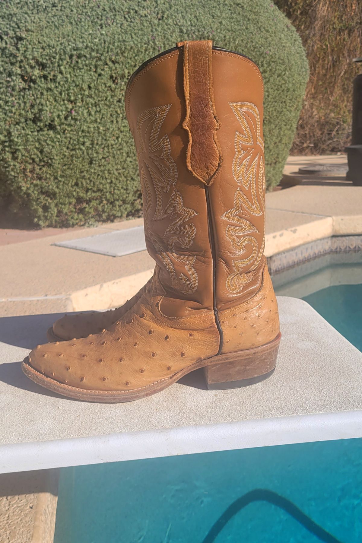 Photo by tekufu on November 1, 2023 of the Cowtown Boots J Toe in Cognac Ostrich .