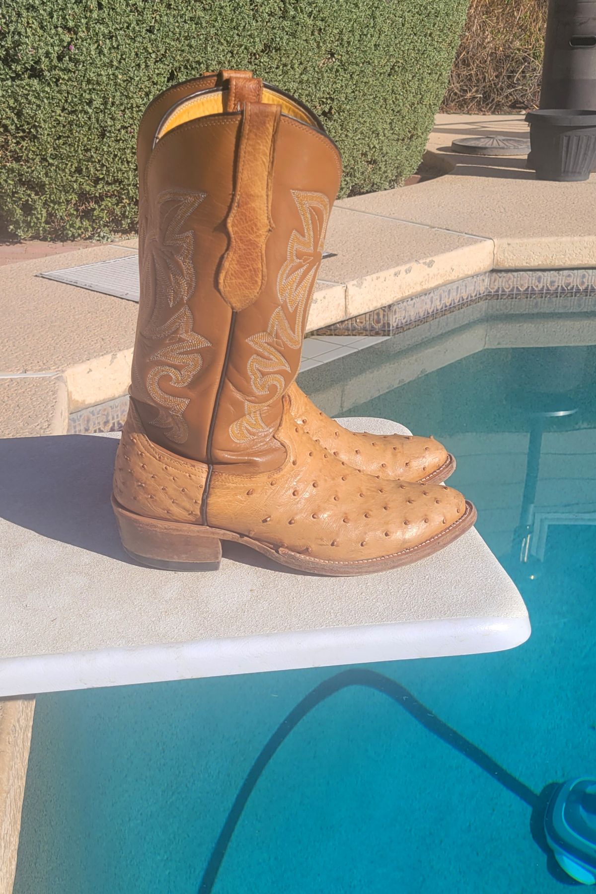 Photo by tekufu on November 1, 2023 of the Cowtown Boots J Toe in Cognac Ostrich .