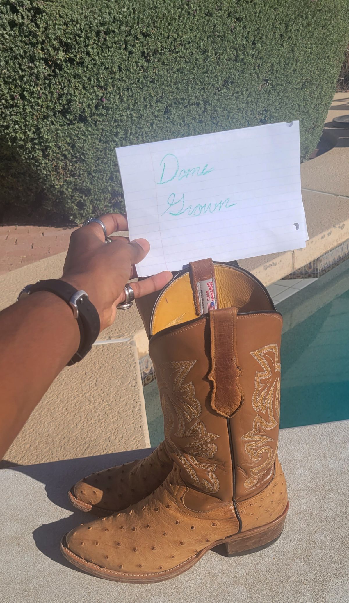 Photo by tekufu on November 1, 2023 of the Cowtown Boots J Toe in Cognac Ostrich .