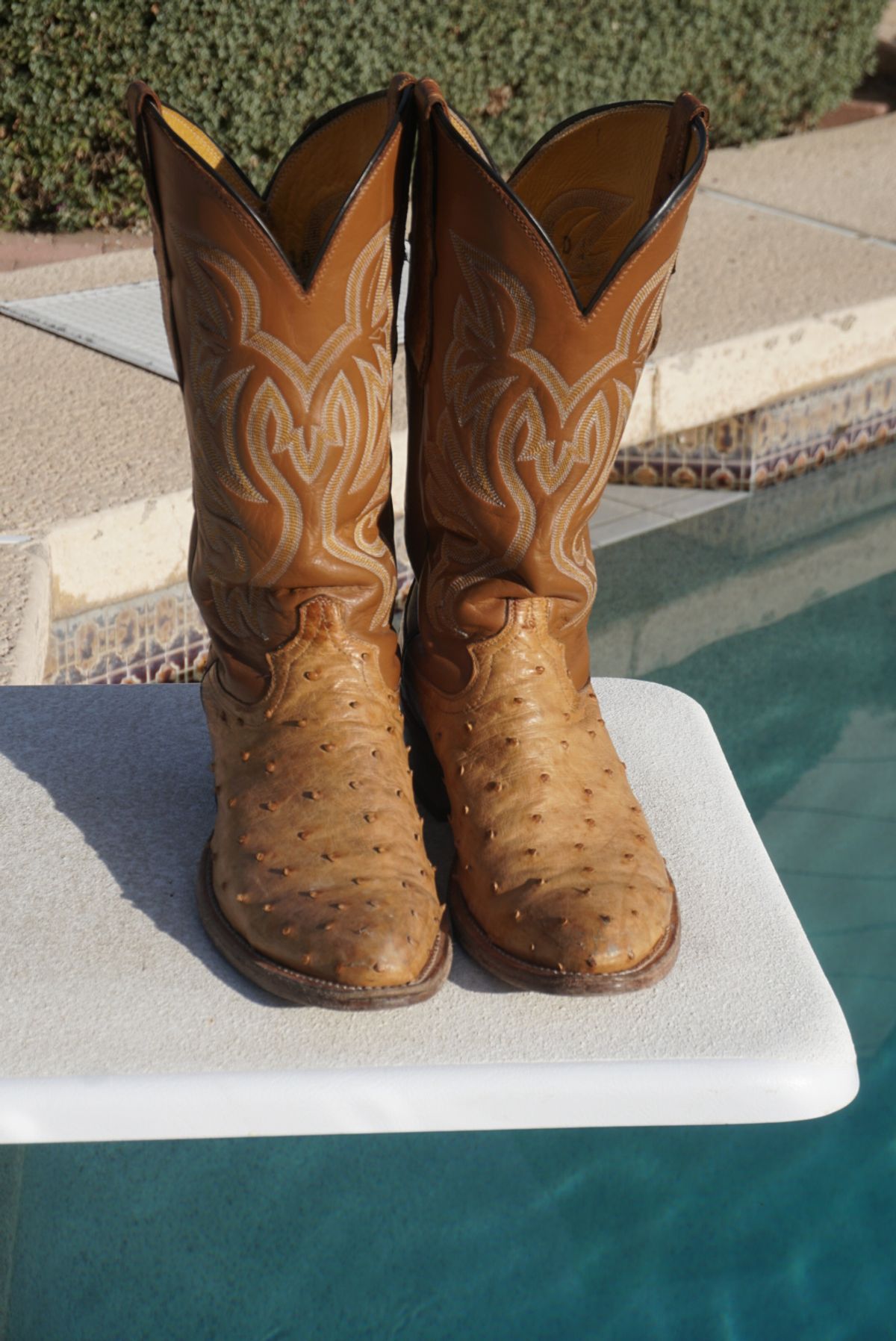 Photo by tekufu on December 3, 2023 of the Cowtown Boots J Toe in Cognac Ostrich .