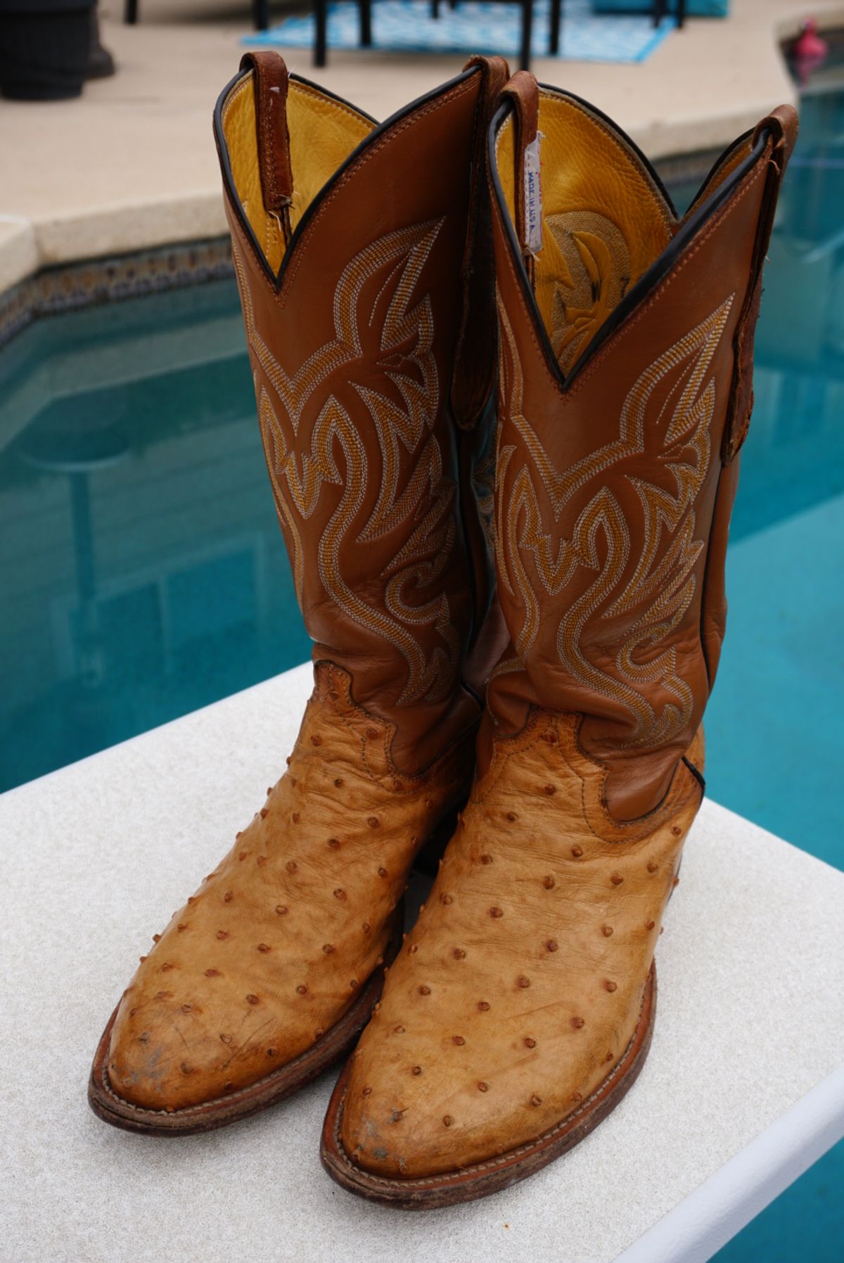 Photo by tekufu on January 1, 2024 of the Cowtown Boots J Toe in Cognac Ostrich .