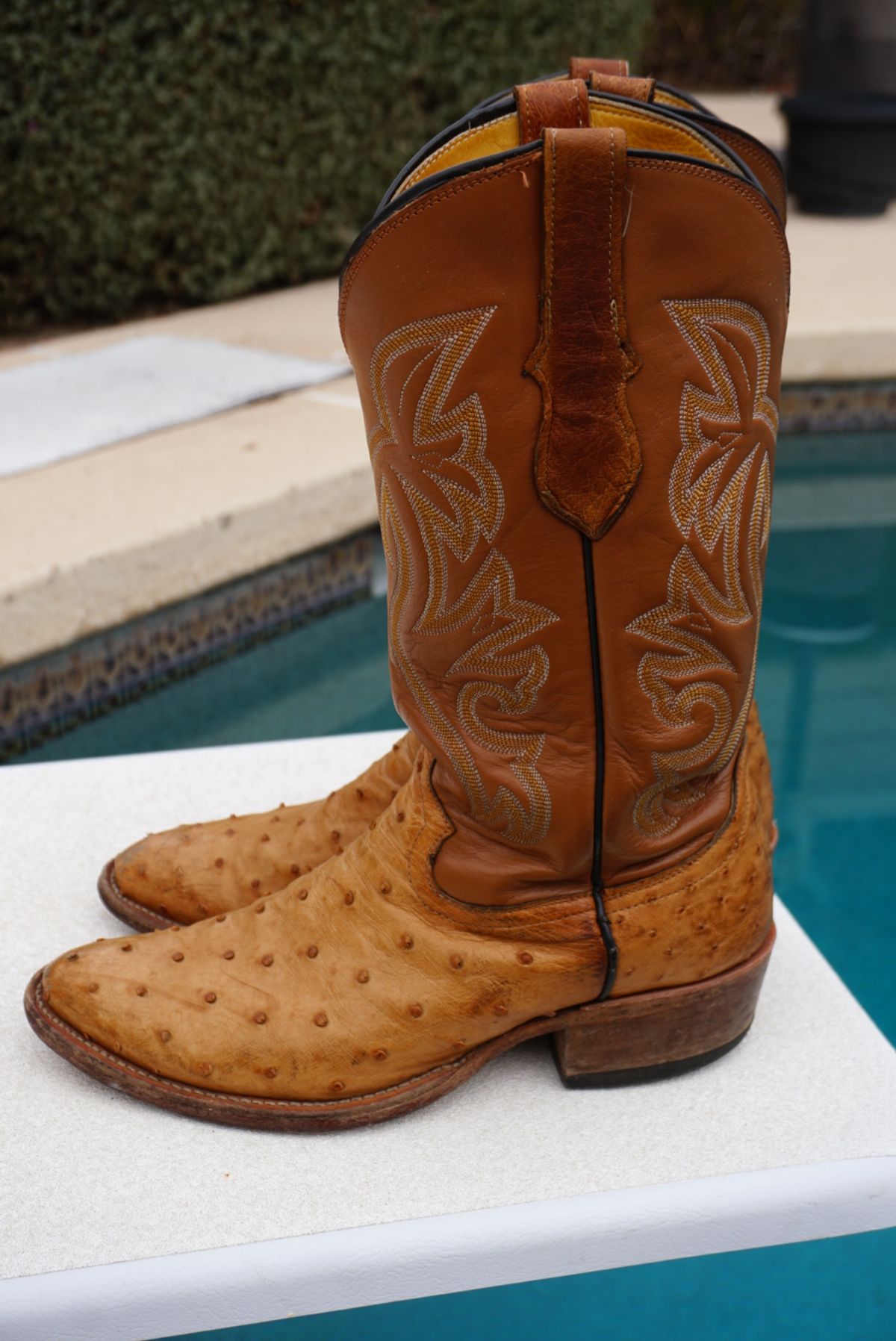 Photo by tekufu on January 1, 2024 of the Cowtown Boots J Toe in Cognac Ostrich .