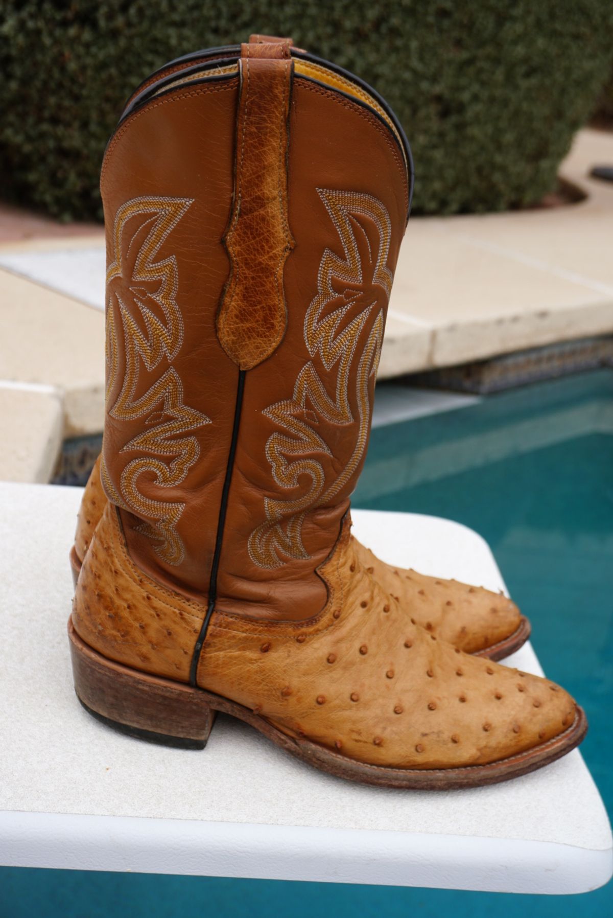 Photo by tekufu on January 1, 2024 of the Cowtown Boots J Toe in Cognac Ostrich .