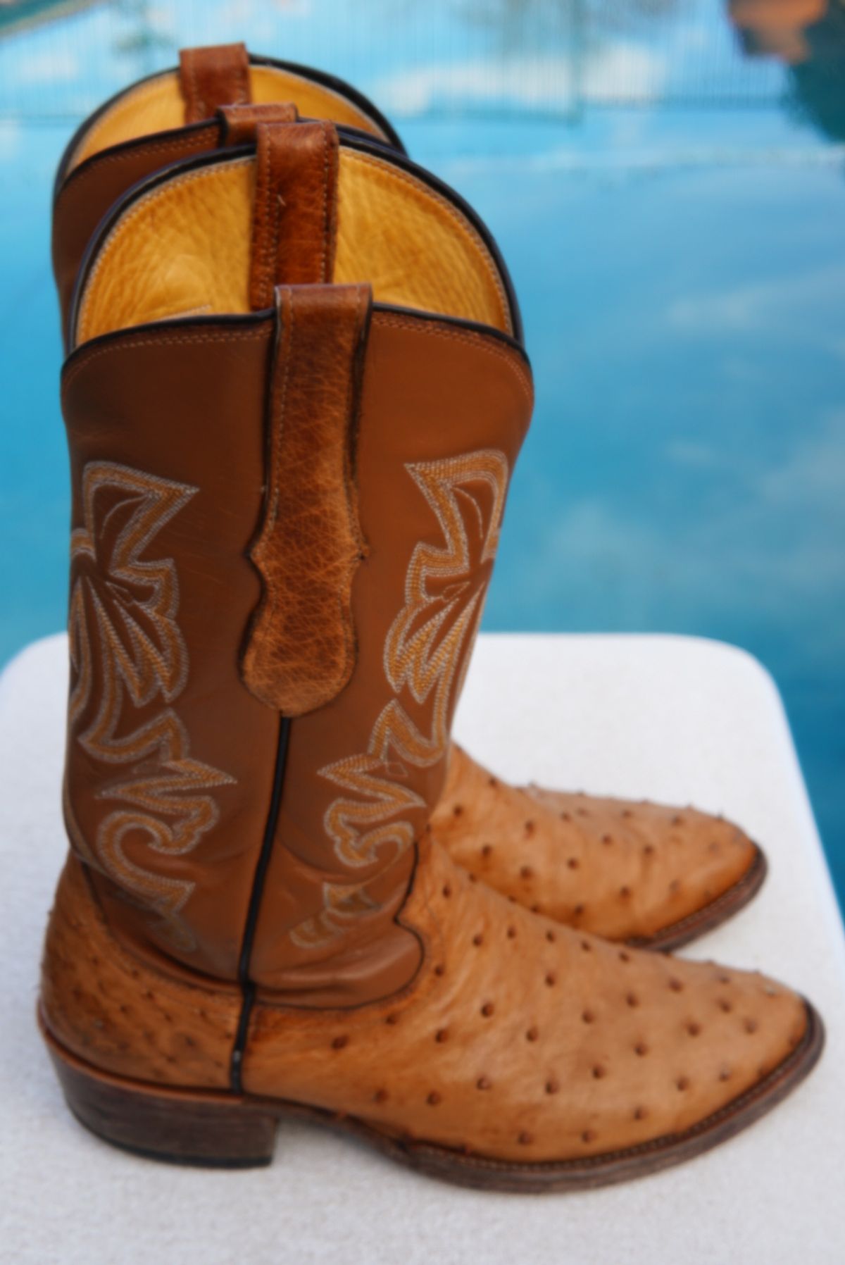 Photo by tekufu on February 5, 2024 of the Cowtown Boots J Toe in Cognac Ostrich .