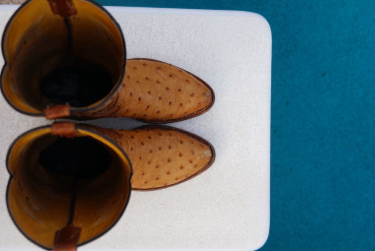 Photo by tekufu on February 5, 2024 of the Cowtown Boots J Toe in Cognac Ostrich .