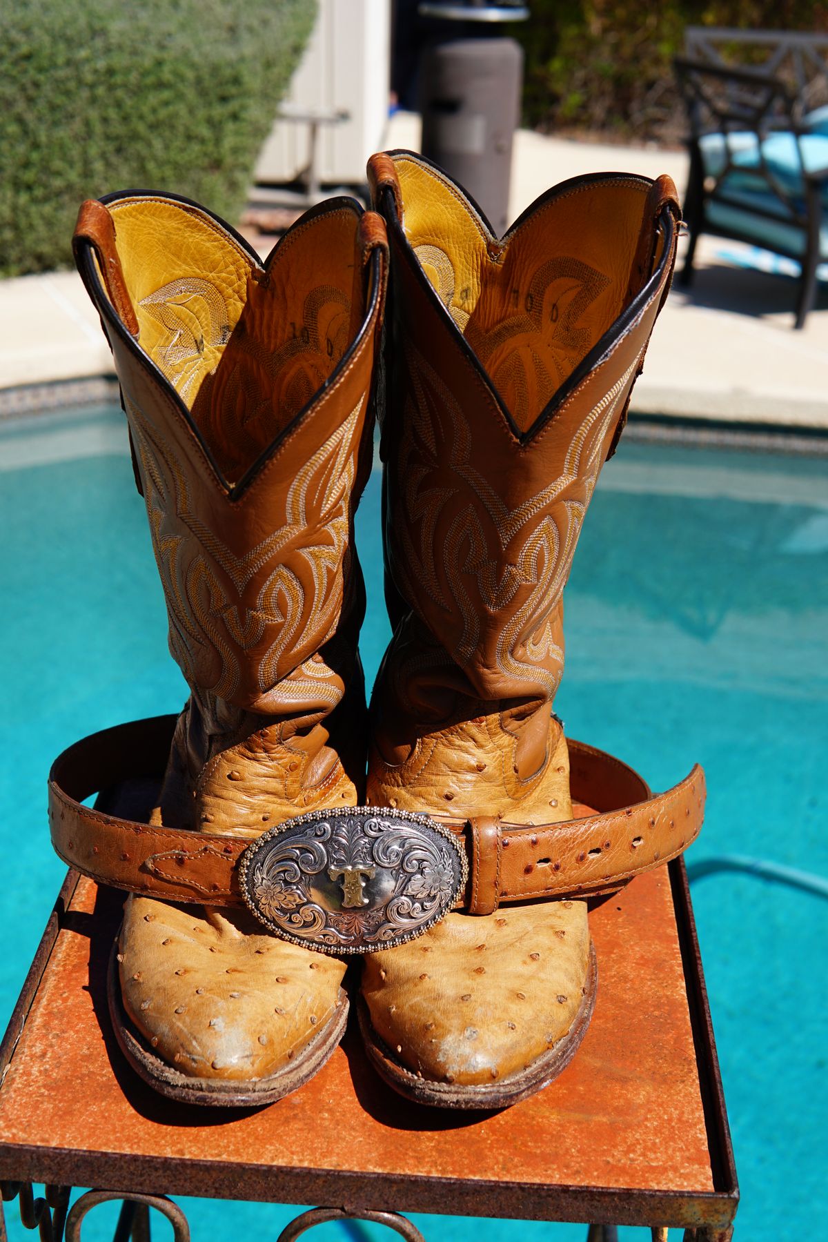 Photo by tekufu on April 3, 2024 of the Cowtown Boots J Toe in Cognac Ostrich .