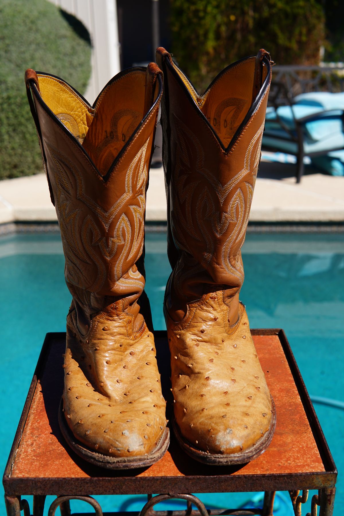 Photo by tekufu on April 3, 2024 of the Cowtown Boots J Toe in Cognac Ostrich .