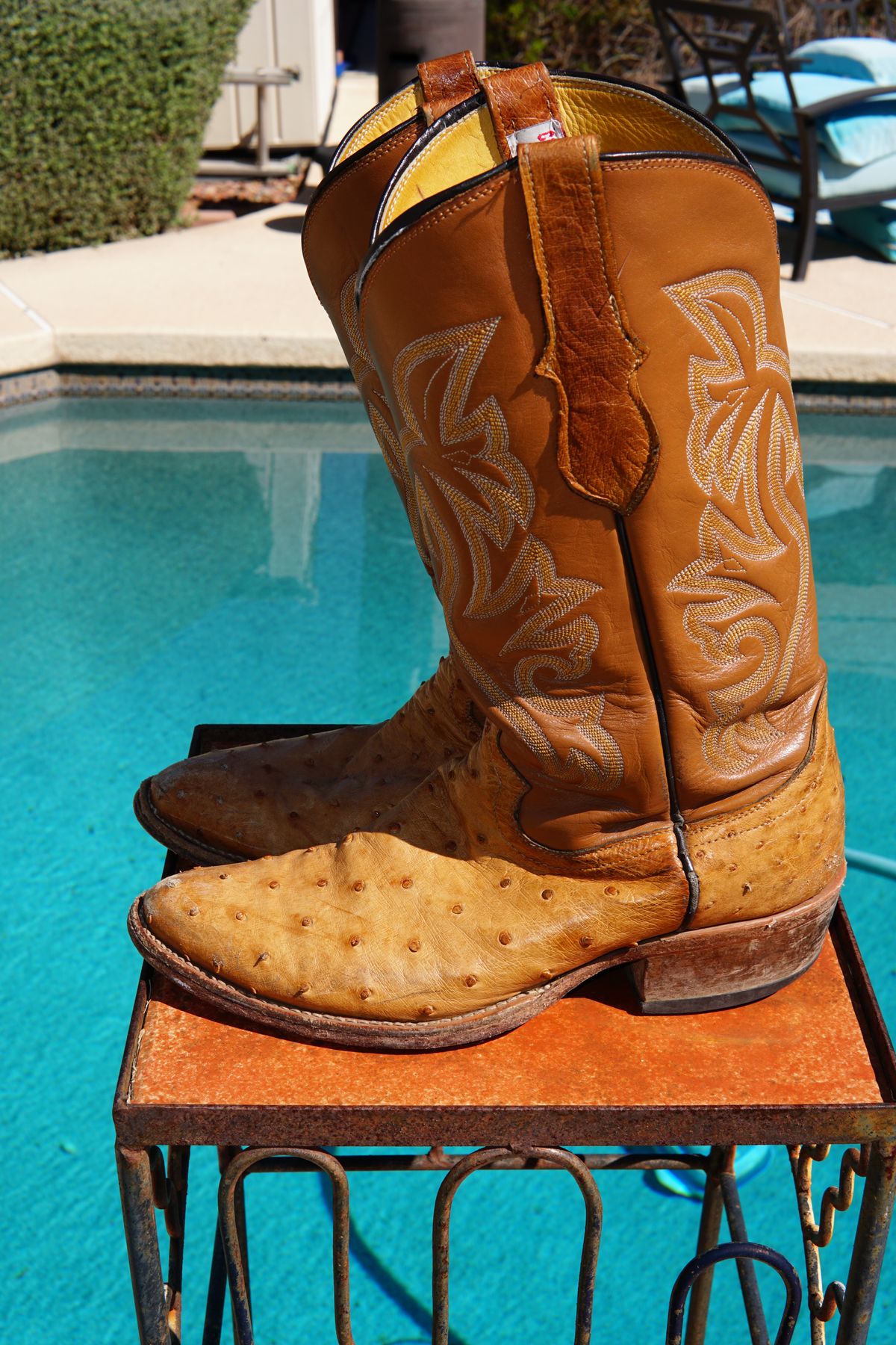 Photo by tekufu on April 3, 2024 of the Cowtown Boots J Toe in Cognac Ostrich .