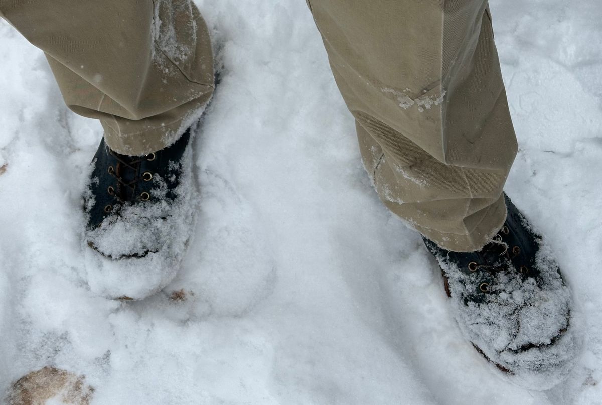 Photo by lee.goodson on January 31, 2026 of the Role Club Lace to Toe in Horween Navy Chromexcel.