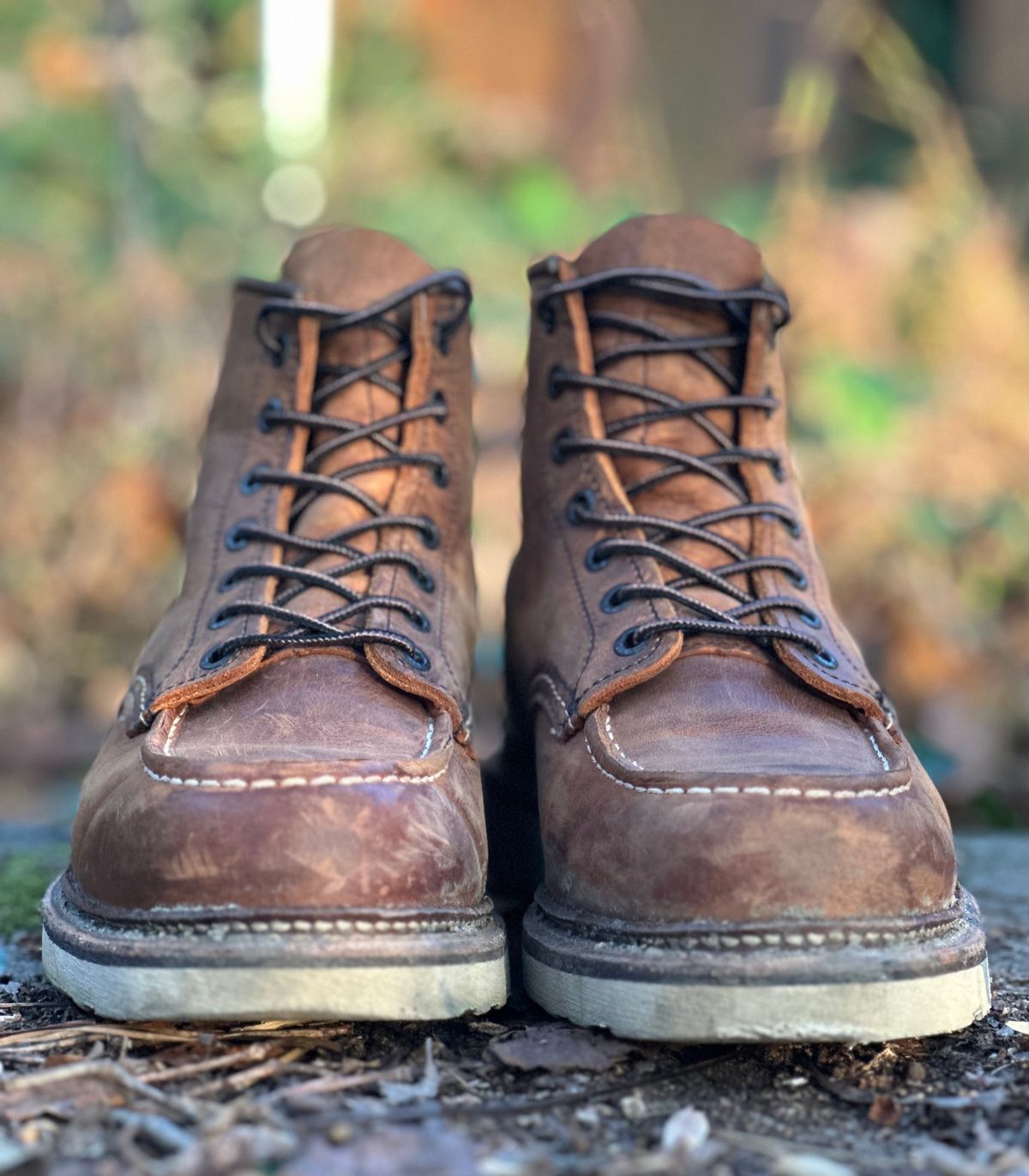 Photo by lee.goodson on November 4, 2023 of the Red Wing 6-Inch Classic Moc in S.B. Foot Copper Rough and Tough.