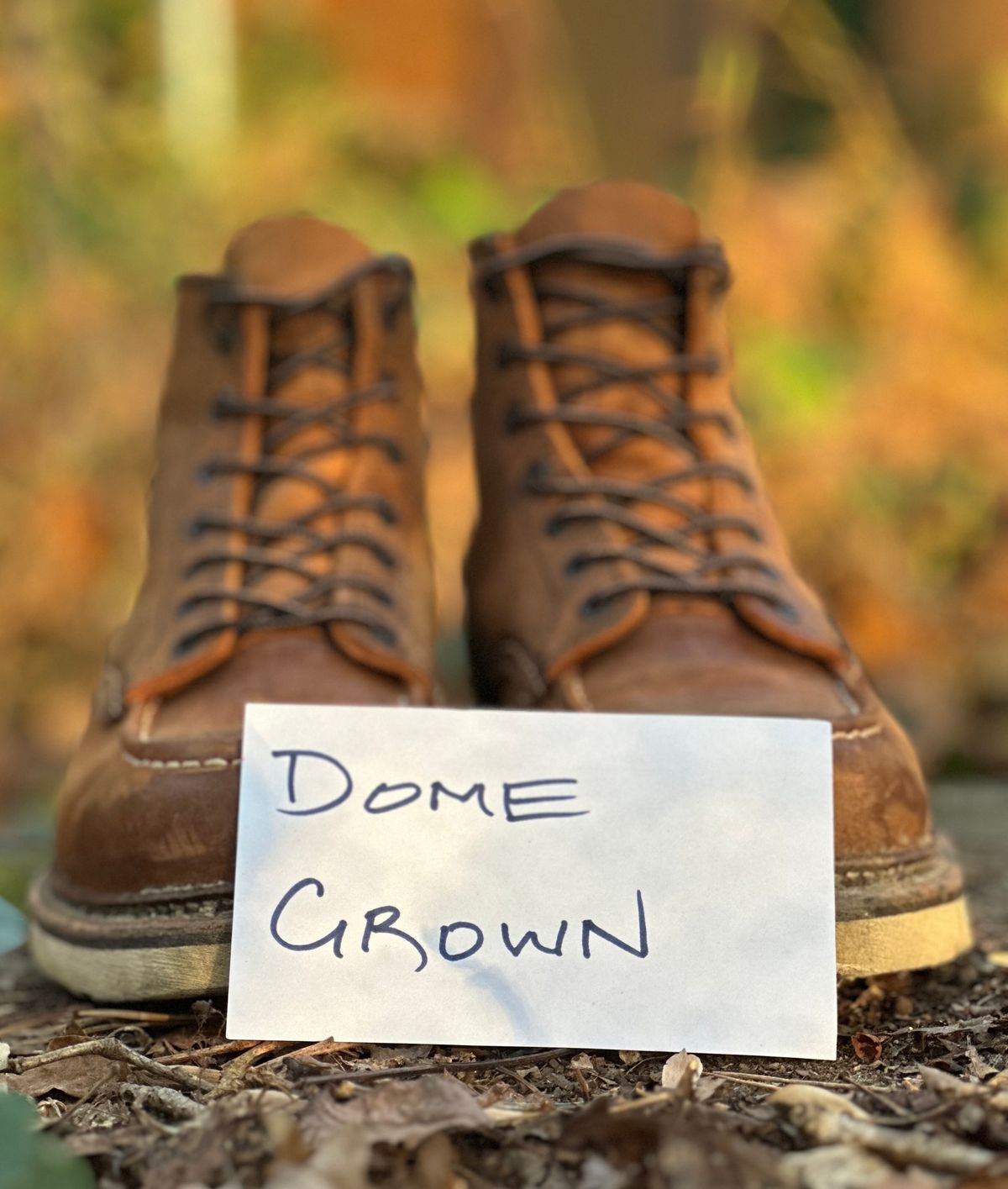 Photo by lee.goodson on November 4, 2023 of the Red Wing 6-Inch Classic Moc in S.B. Foot Copper Rough and Tough.