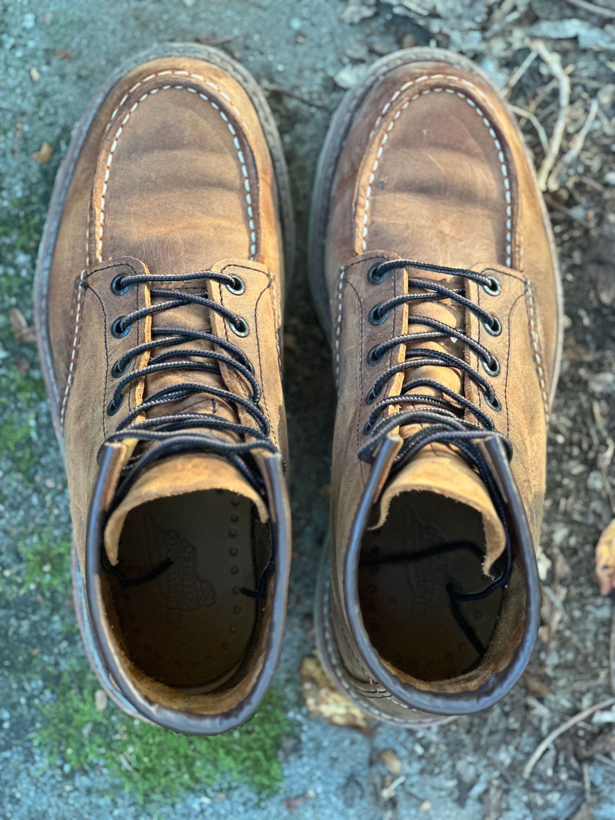 Photo by lee.goodson on November 4, 2023 of the Red Wing 6-Inch Classic Moc in S.B. Foot Copper Rough and Tough.