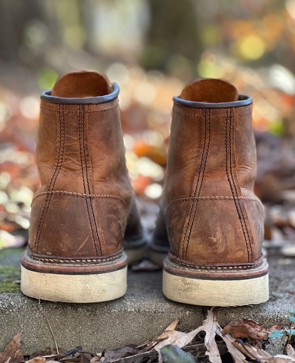 Photo by lee.goodson on December 2, 2023 of the Red Wing 6-Inch Classic Moc in S.B. Foot Copper Rough and Tough.