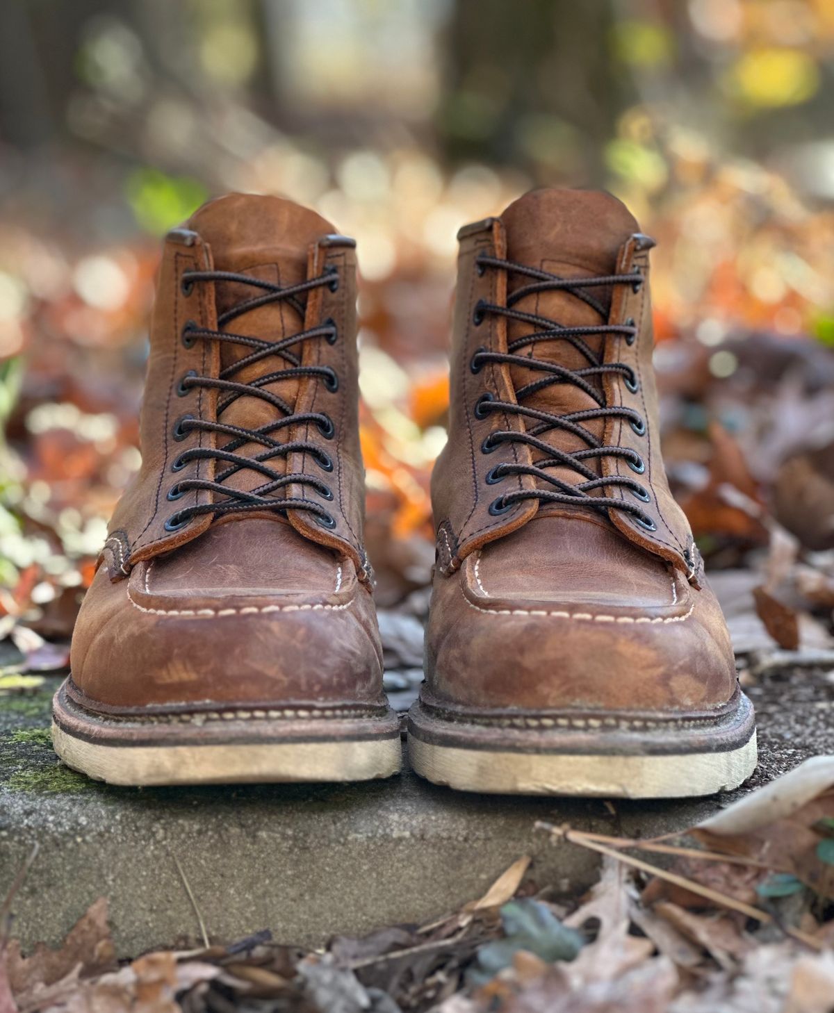 Photo by lee.goodson on December 2, 2023 of the Red Wing 6-Inch Classic Moc in S.B. Foot Copper Rough and Tough.