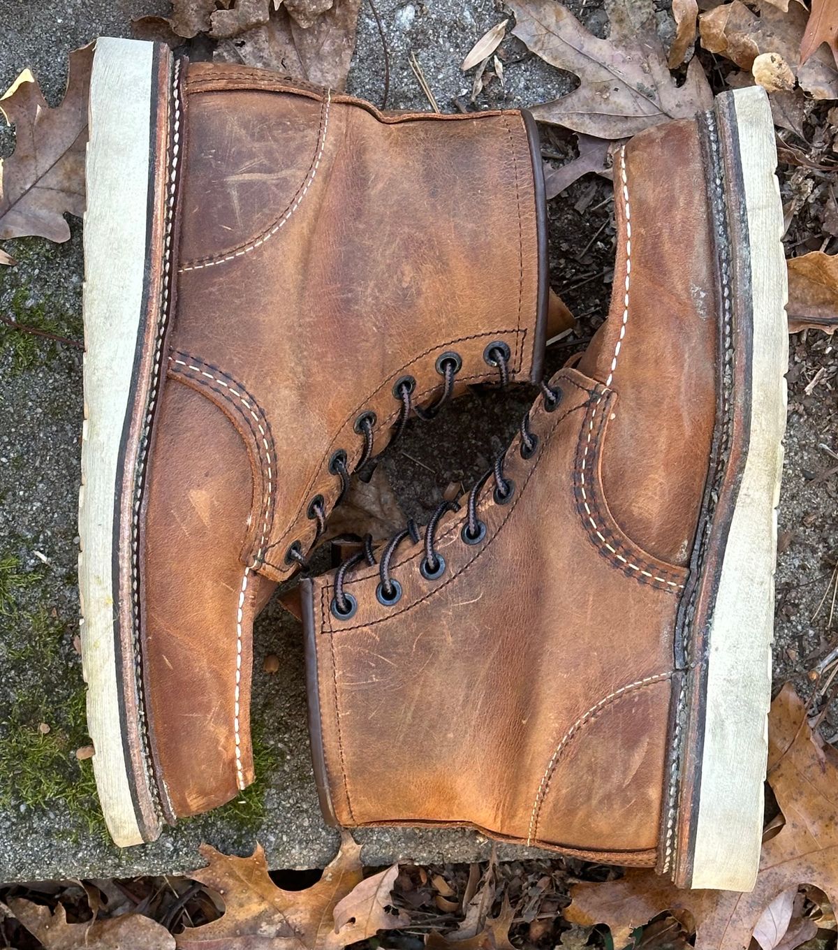 Photo by lee.goodson on December 2, 2023 of the Red Wing 6-Inch Classic Moc in S.B. Foot Copper Rough and Tough.
