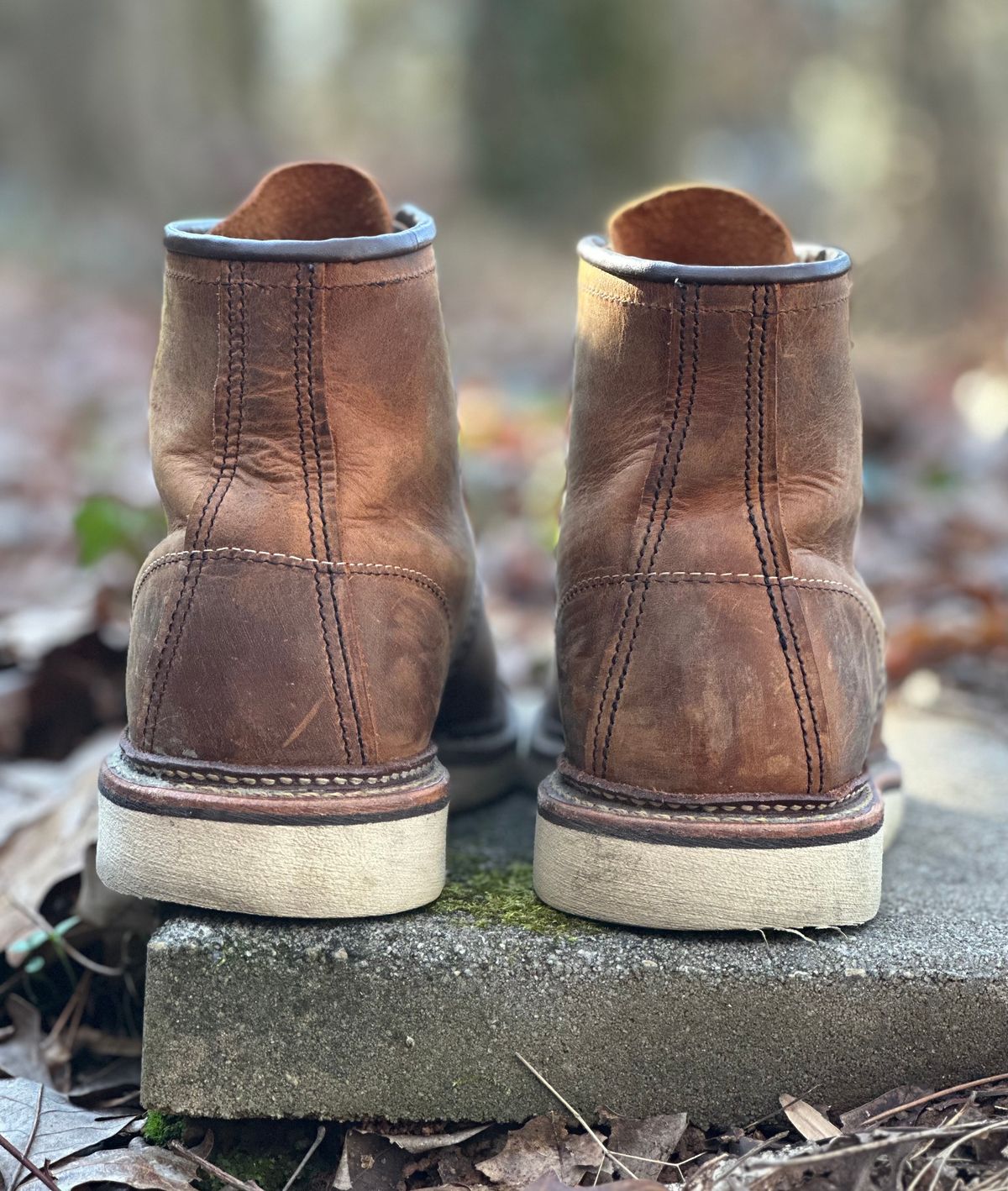 Photo by lee.goodson on January 1, 2024 of the Red Wing 6-Inch Classic Moc in S.B. Foot Copper Rough and Tough.