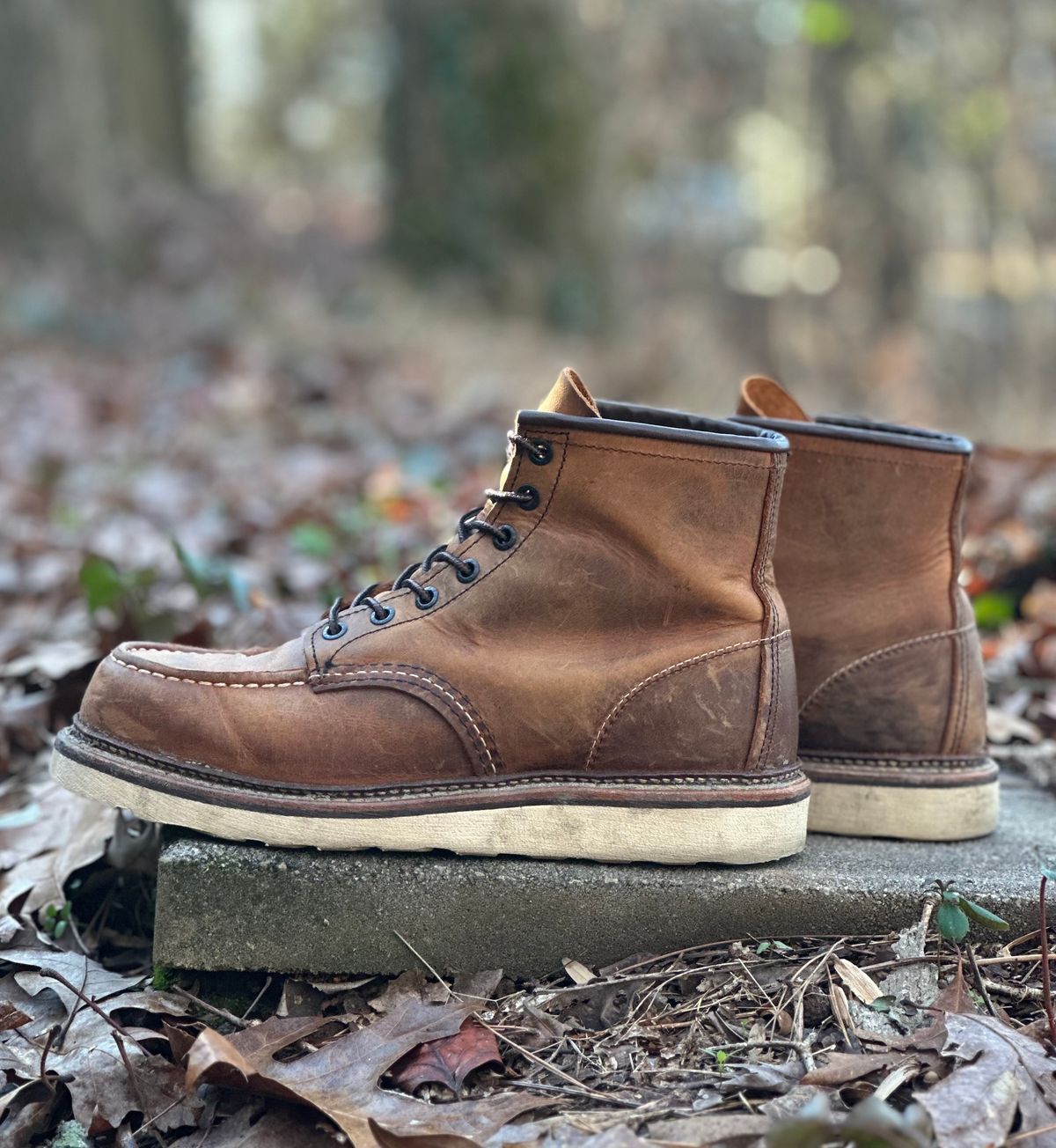 Photo by lee.goodson on January 1, 2024 of the Red Wing 6-Inch Classic Moc in S.B. Foot Copper Rough and Tough.