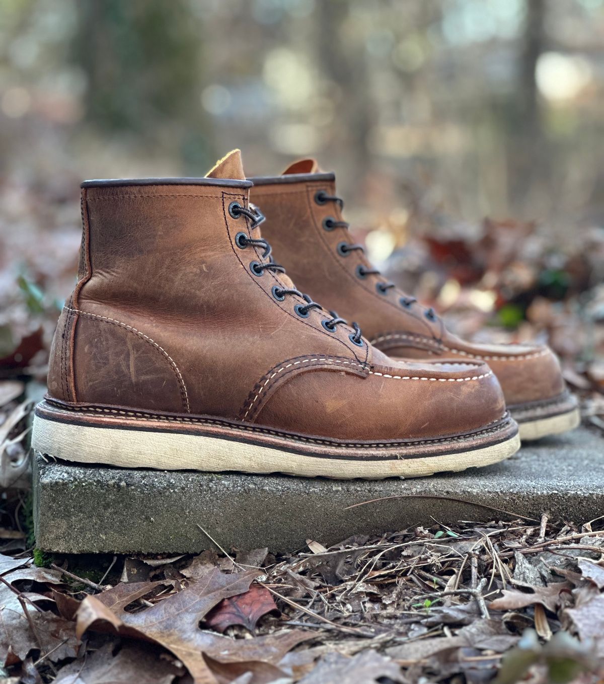 Photo by lee.goodson on January 1, 2024 of the Red Wing 6-Inch Classic Moc in S.B. Foot Copper Rough and Tough.