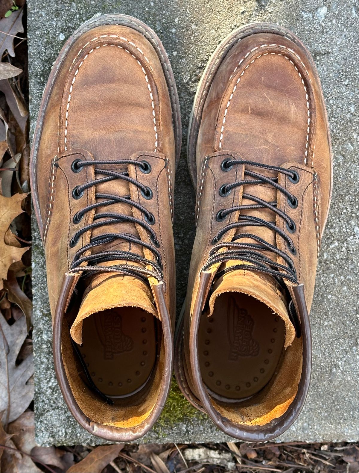 Photo by lee.goodson on January 1, 2024 of the Red Wing 6-Inch Classic Moc in S.B. Foot Copper Rough and Tough.