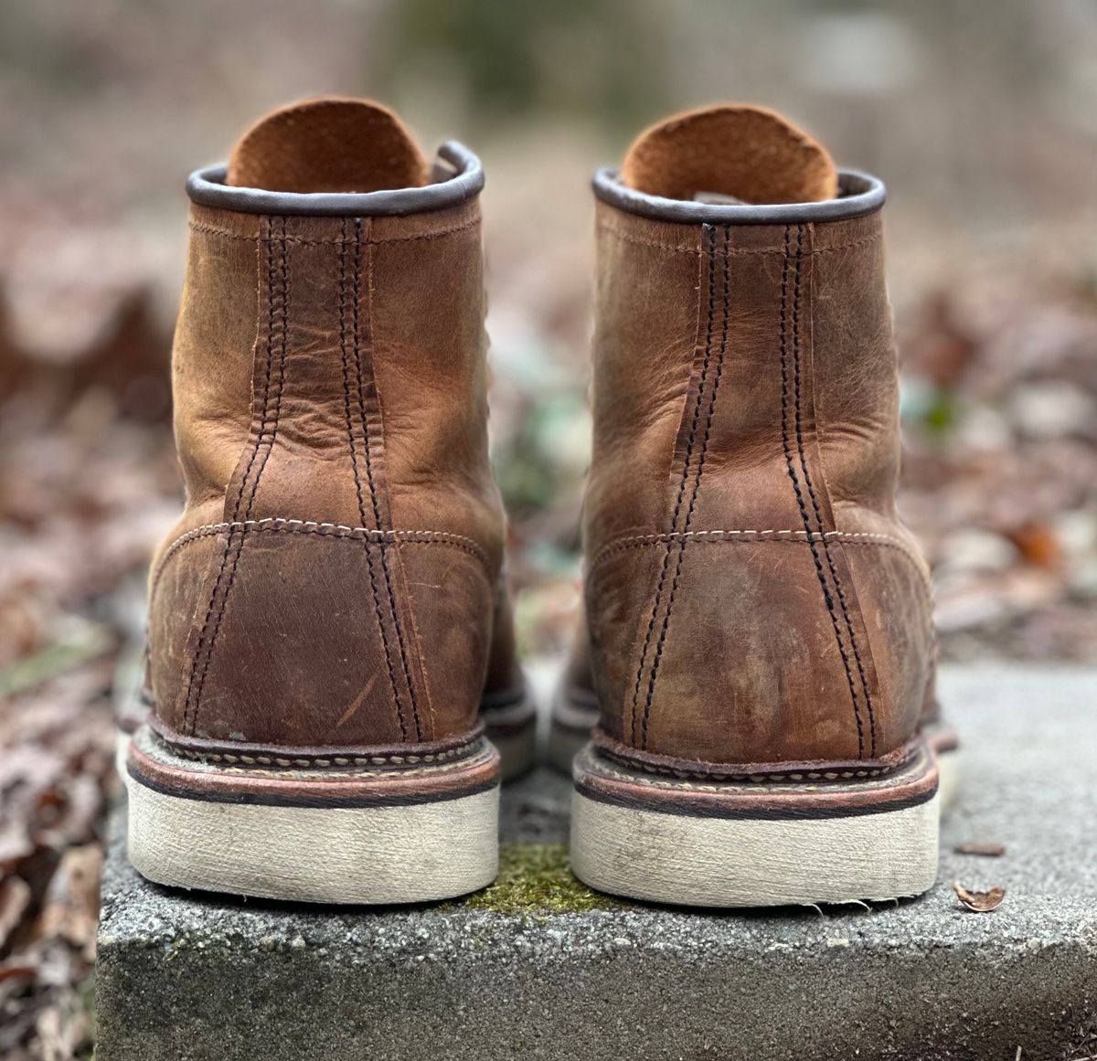 Photo by lee.goodson on February 4, 2024 of the Red Wing 6-Inch Classic Moc in S.B. Foot Copper Rough and Tough.