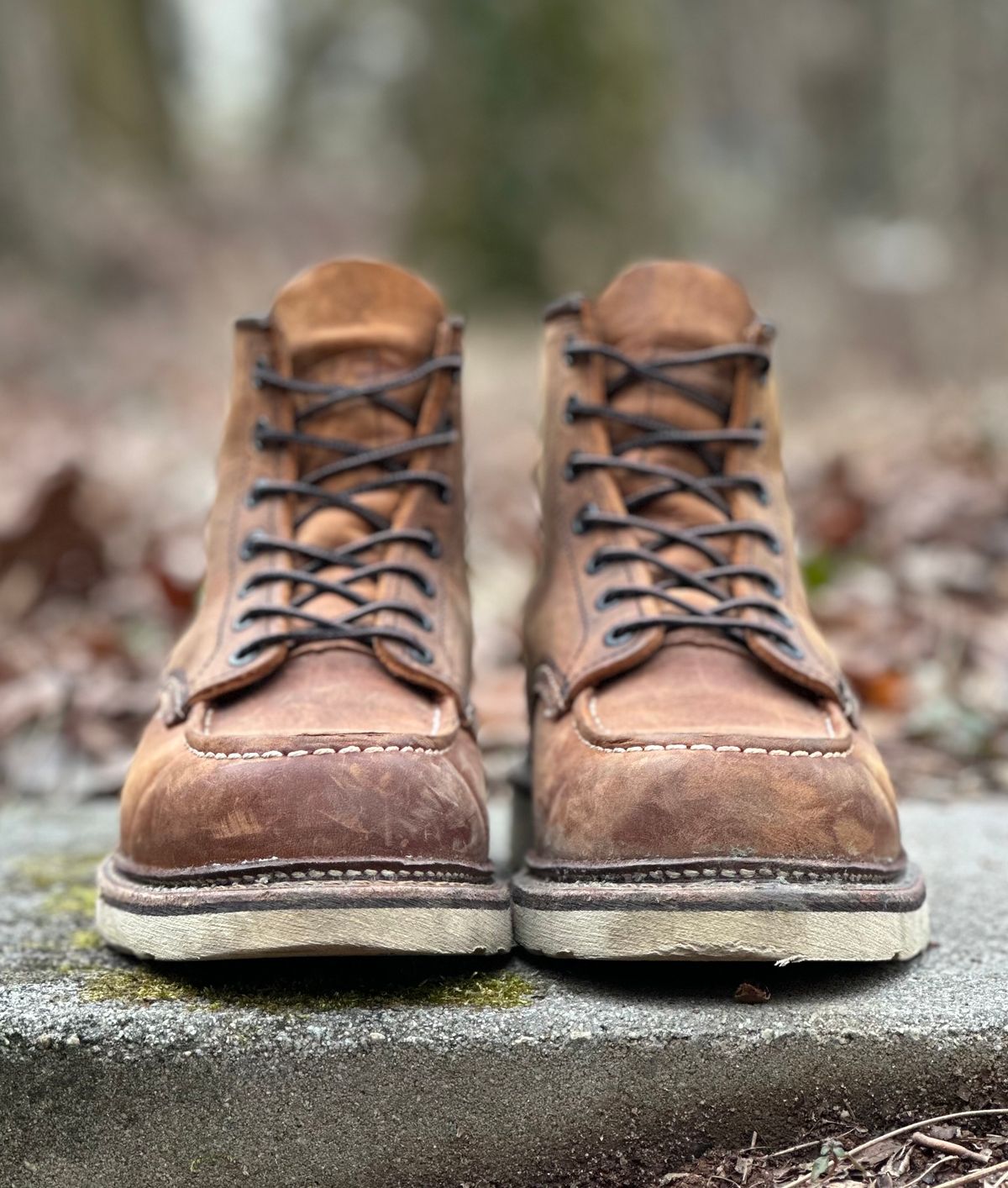 Photo by lee.goodson on February 4, 2024 of the Red Wing 6-Inch Classic Moc in S.B. Foot Copper Rough and Tough.