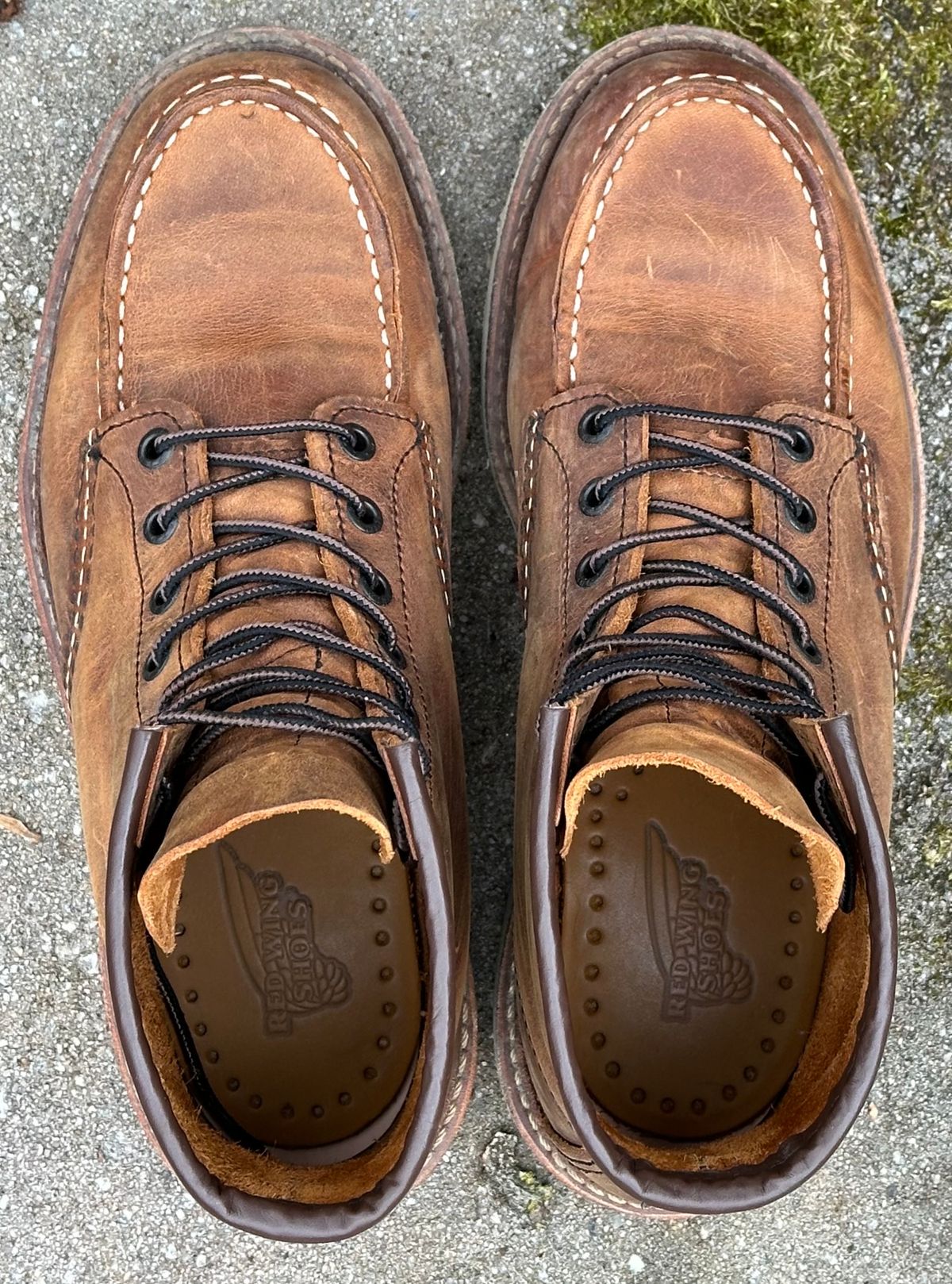 Photo by lee.goodson on February 4, 2024 of the Red Wing 6-Inch Classic Moc in S.B. Foot Copper Rough and Tough.