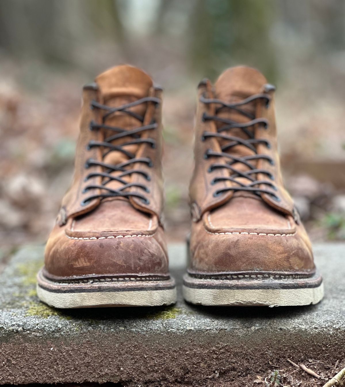 Photo by lee.goodson on March 2, 2024 of the Red Wing 6-Inch Classic Moc in S.B. Foot Copper Rough and Tough.