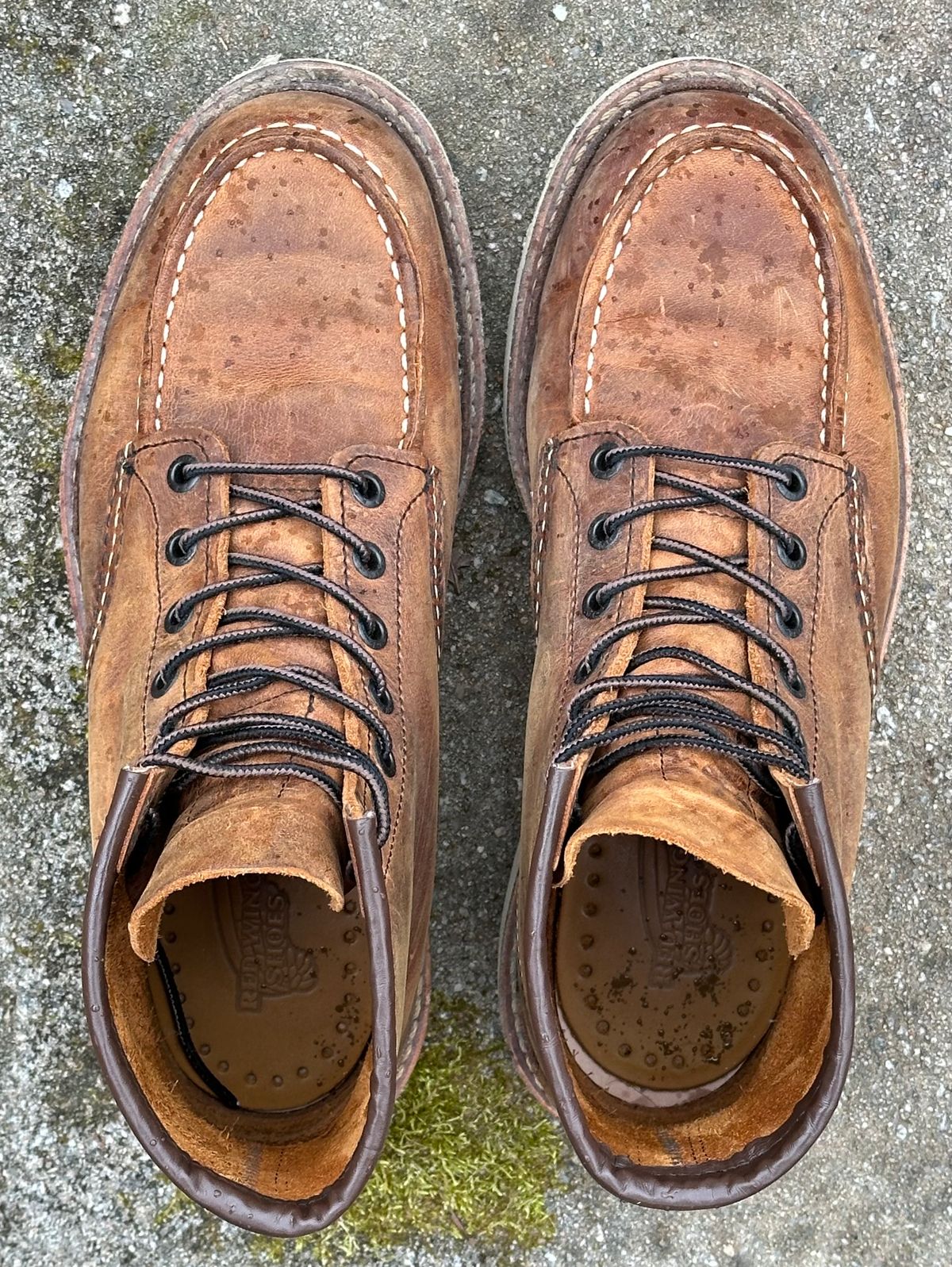 Photo by lee.goodson on March 2, 2024 of the Red Wing 6-Inch Classic Moc in S.B. Foot Copper Rough and Tough.